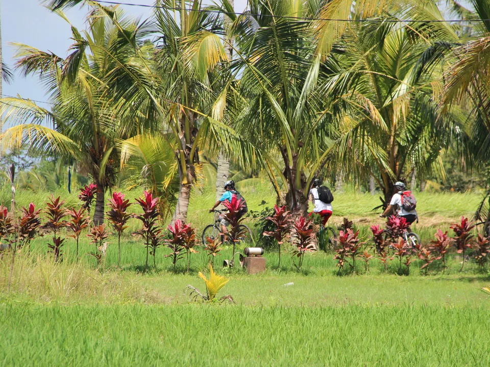 Fietsen door Blayu, Bali