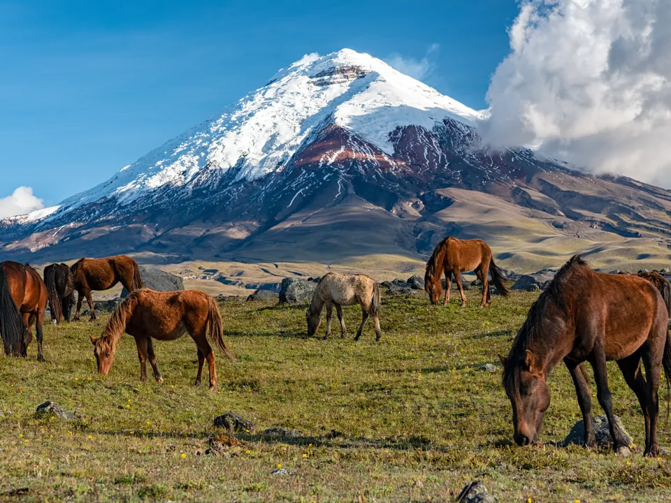 quito-cotopaxi-national-park
