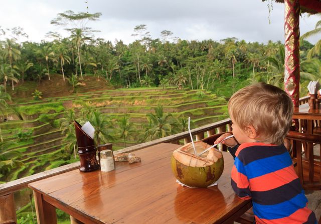 Uitkijken over de rijstvelden van Indonesië