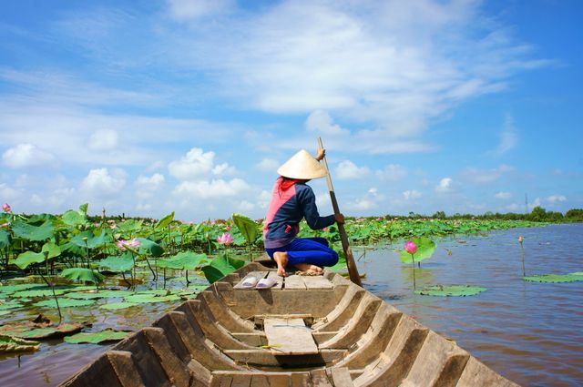 Varen bij Ninh Binh, Vietnam