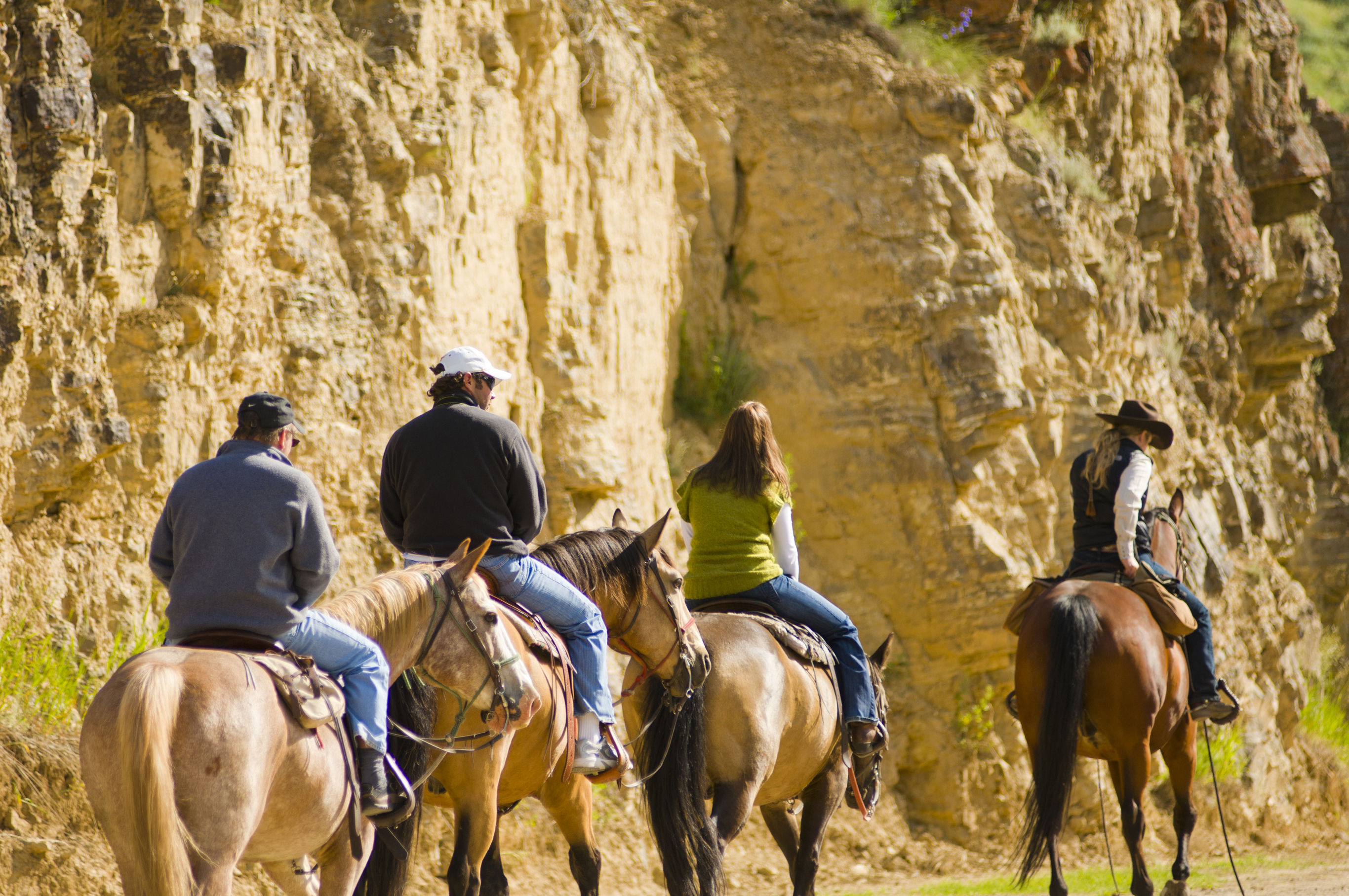 Ranchstay op een resortranch