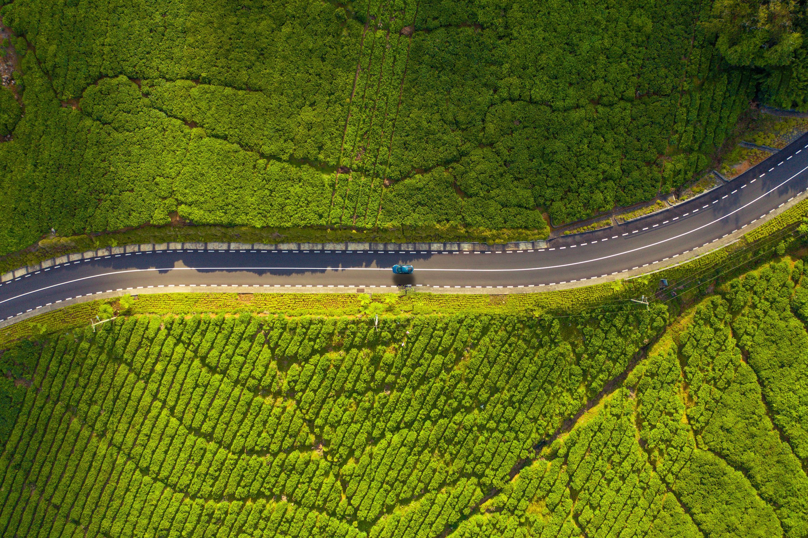 Ontdek Mauritius per auto