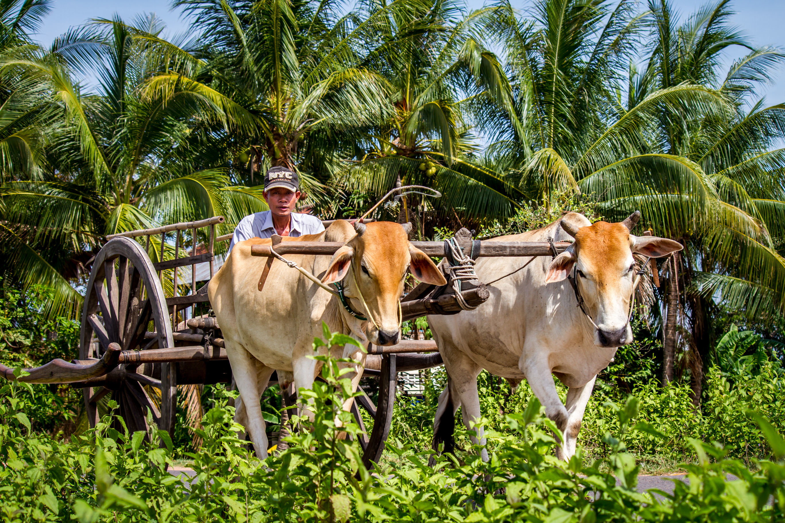 Puur Cambodja