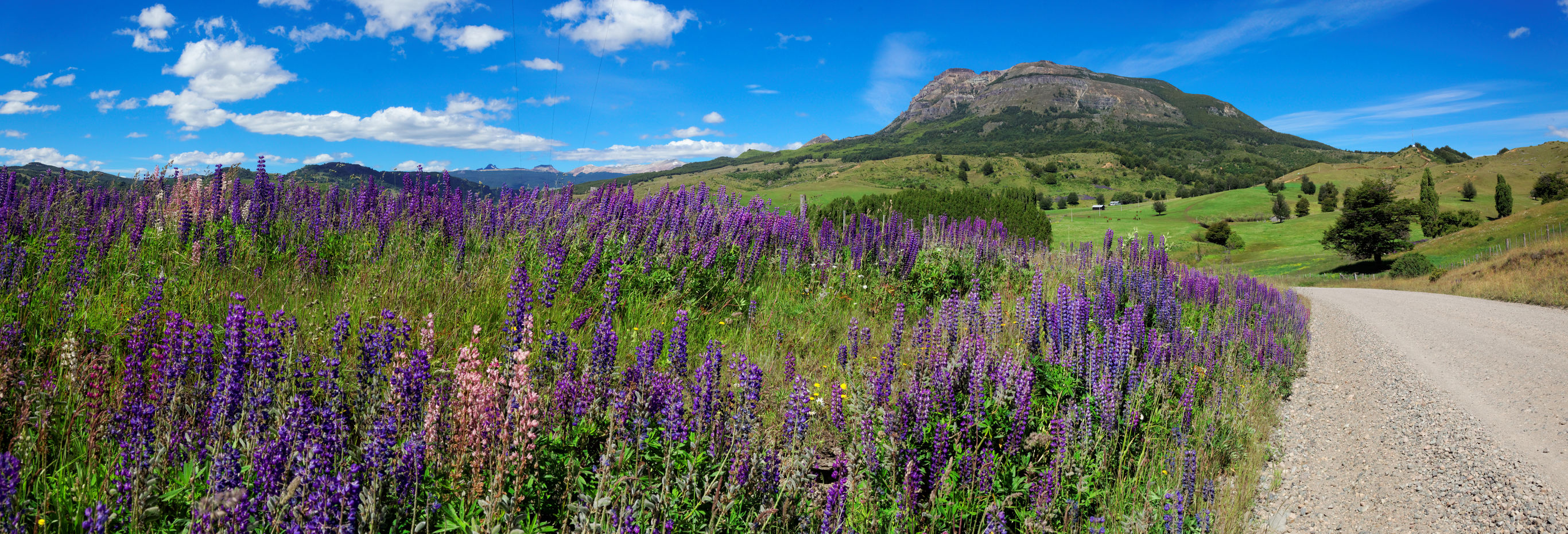 Op avontuur in Patagonië