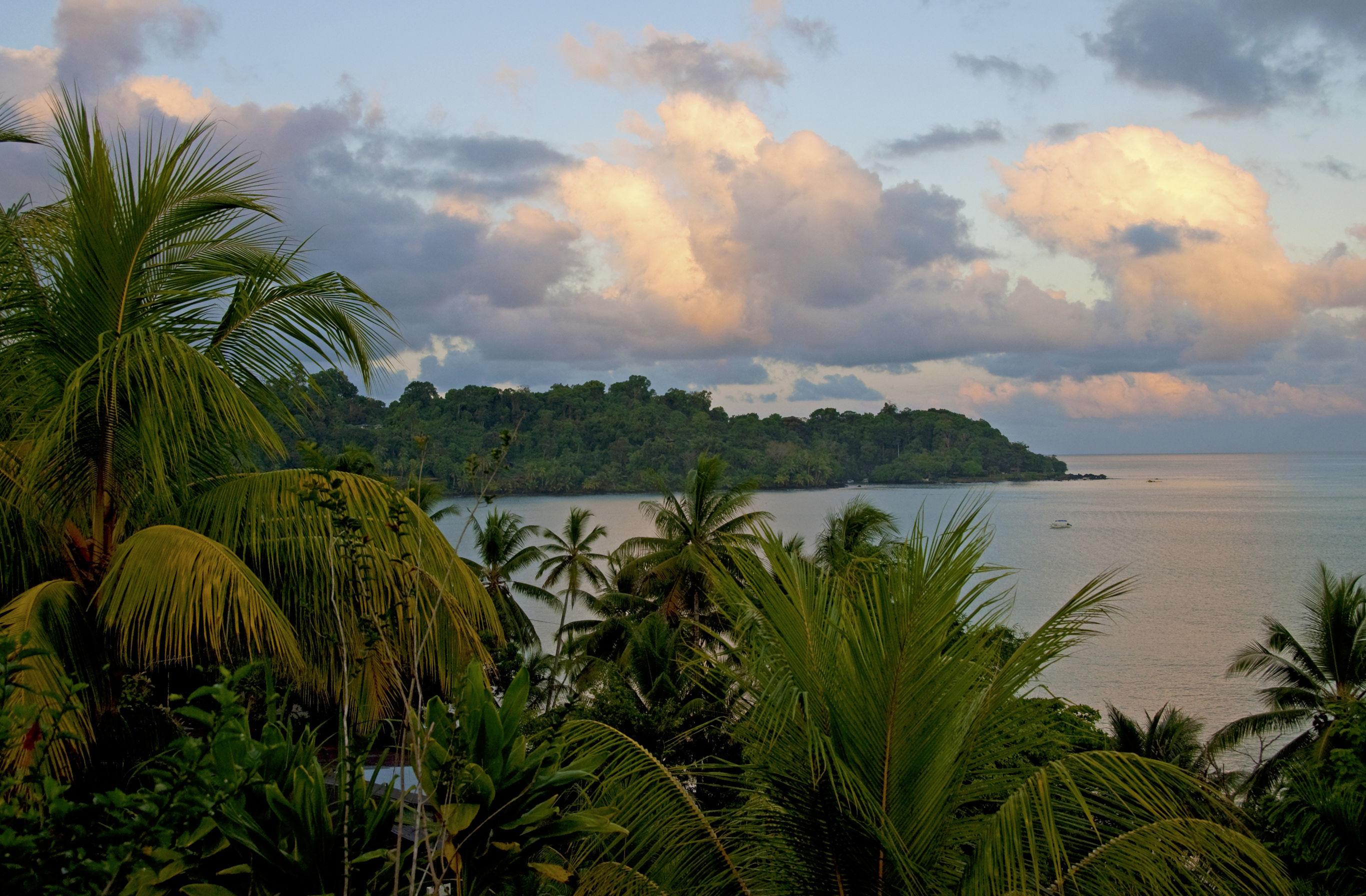 Junglegeluiden in Corcovado National Park