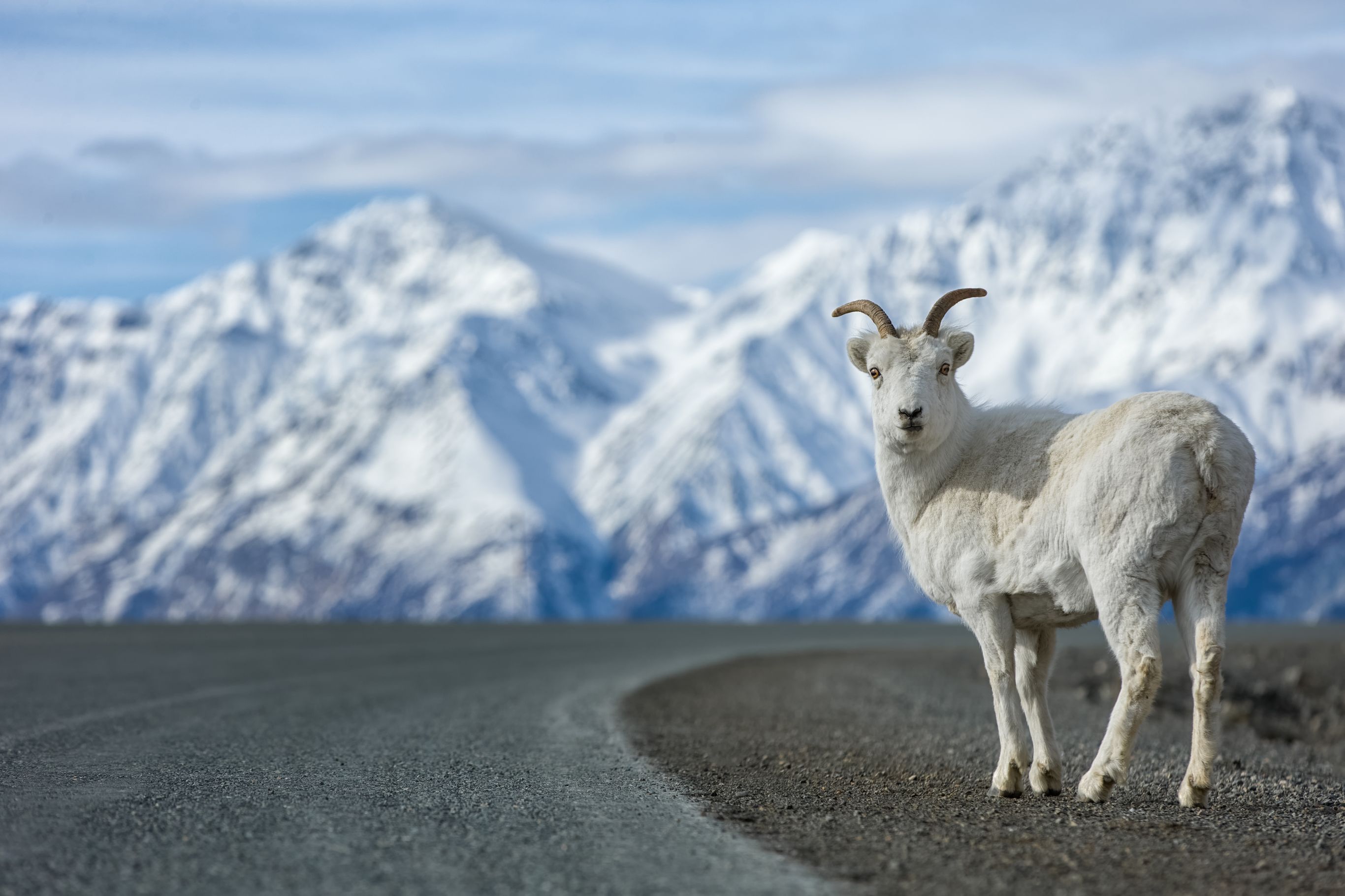 Uitgebreid Alaska met je huurauto