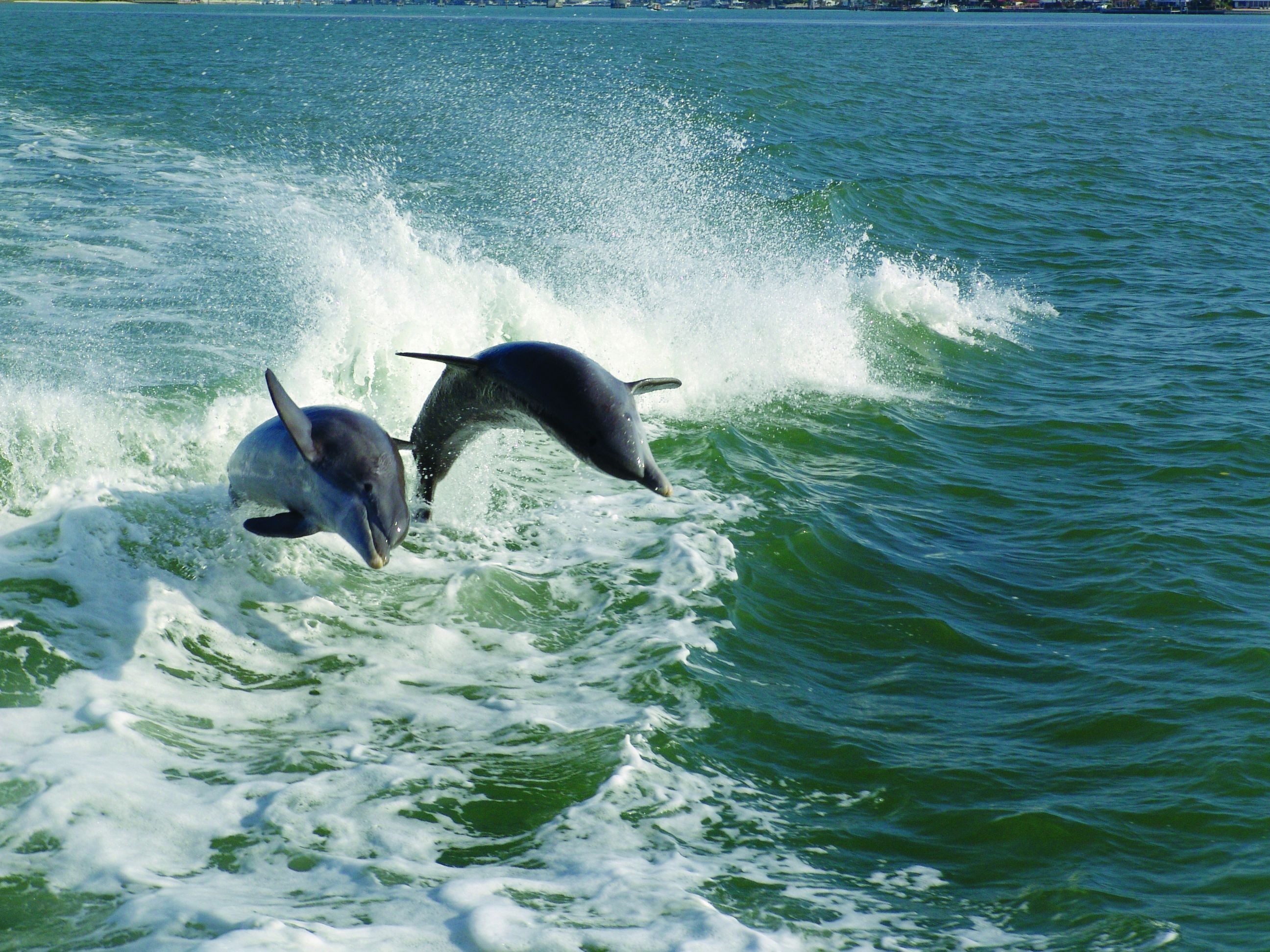 Rondje Florida met villa verblijf