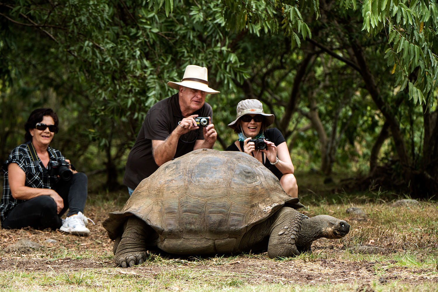 Eilandhoppen Galapagos kort
