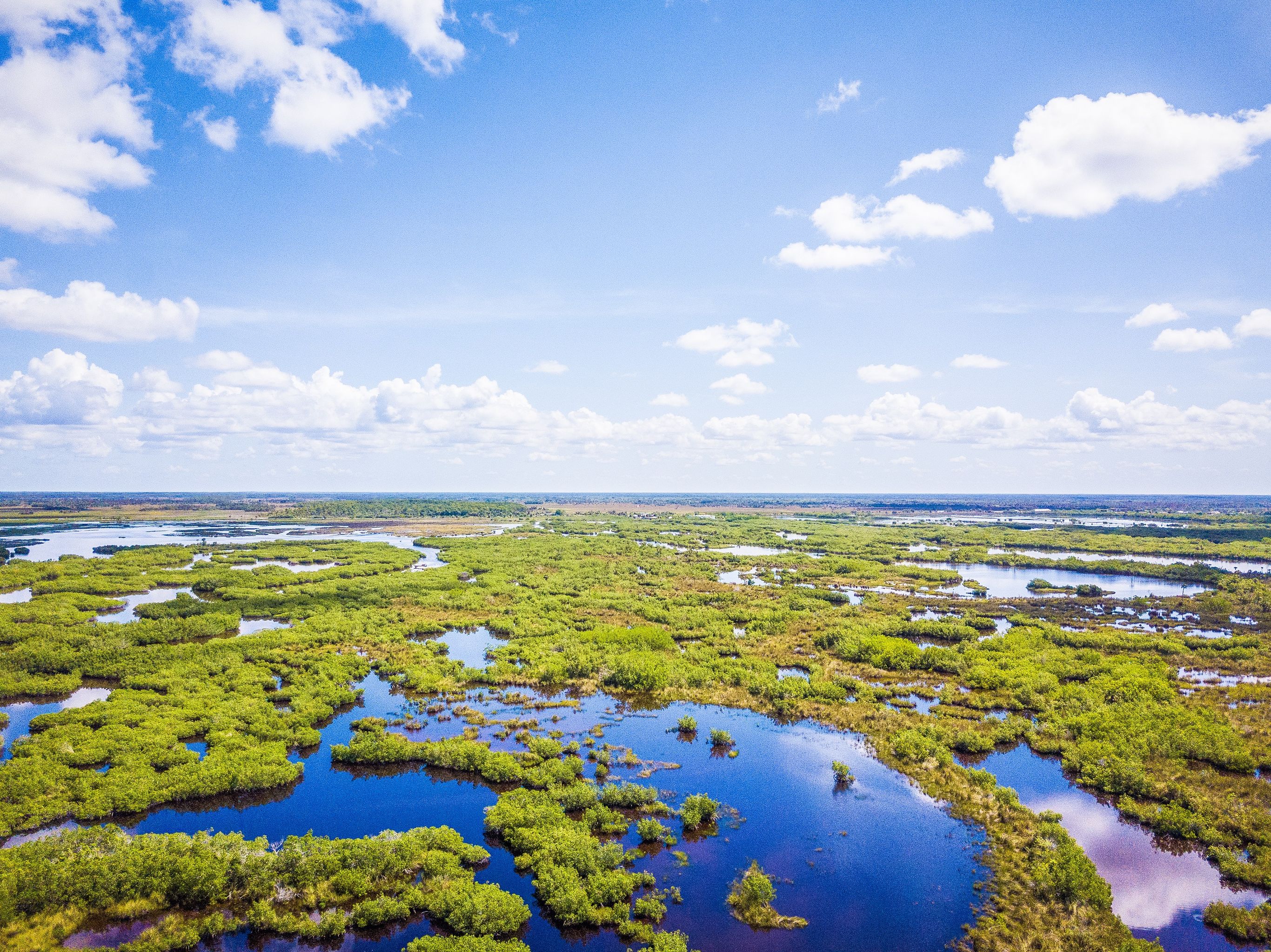 Florida Compleet