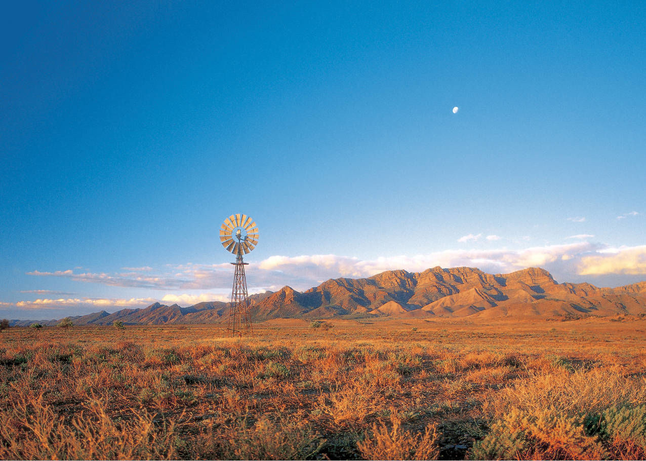 Outback Wine vanuit Adelaide