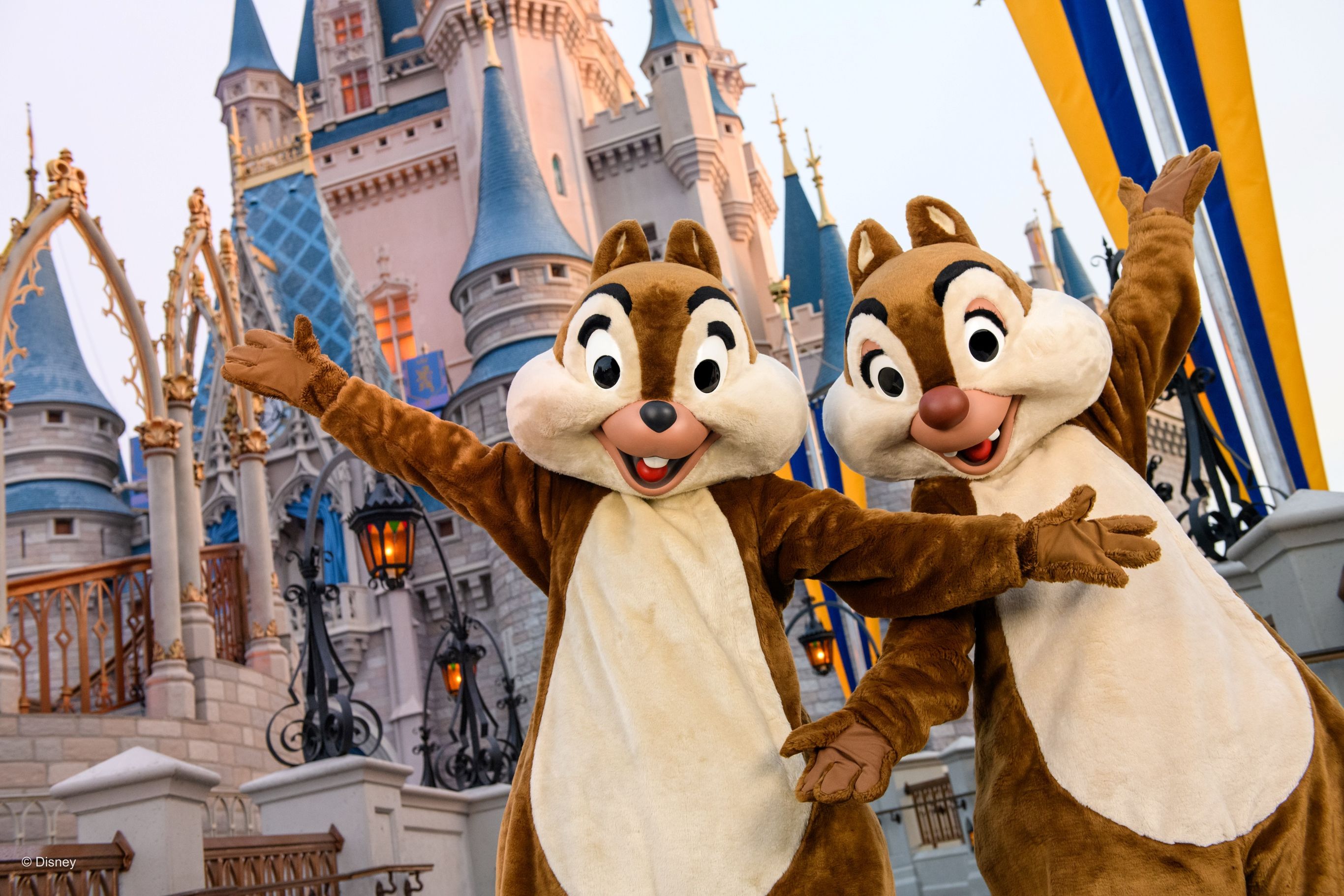 Knabbel en Babbel in Disney Orlando, Amerika