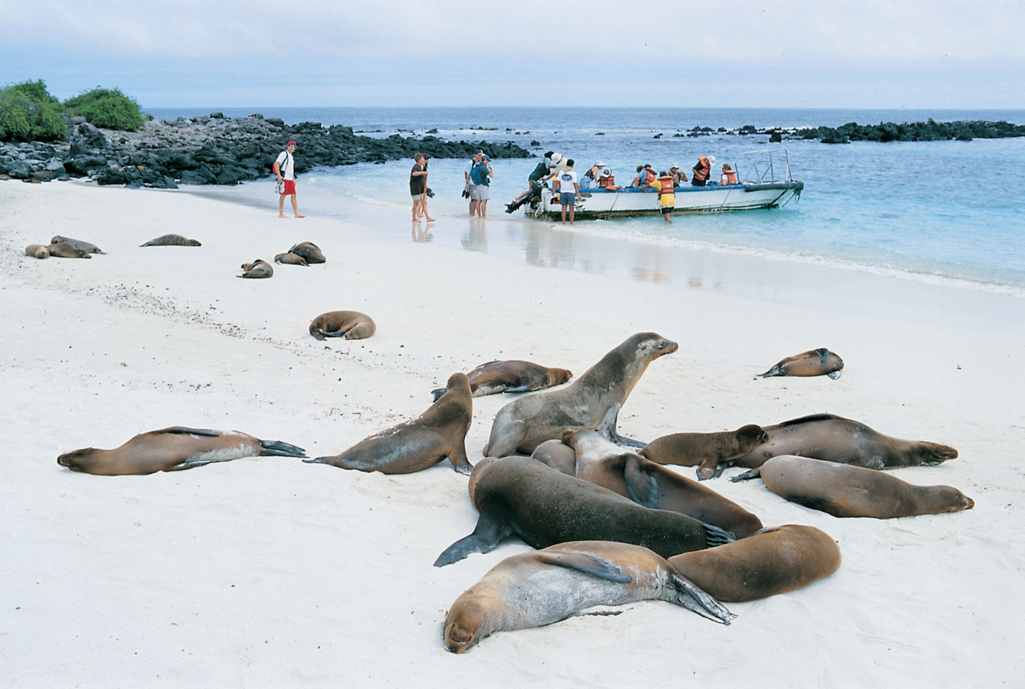Eilandhoppen Galapagos