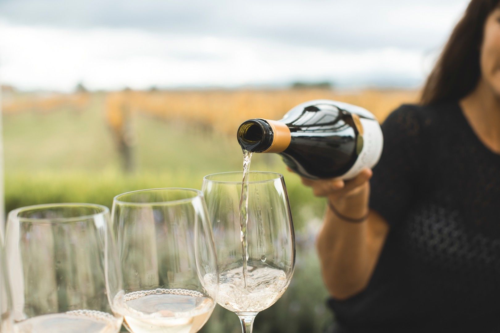 Best of Wine