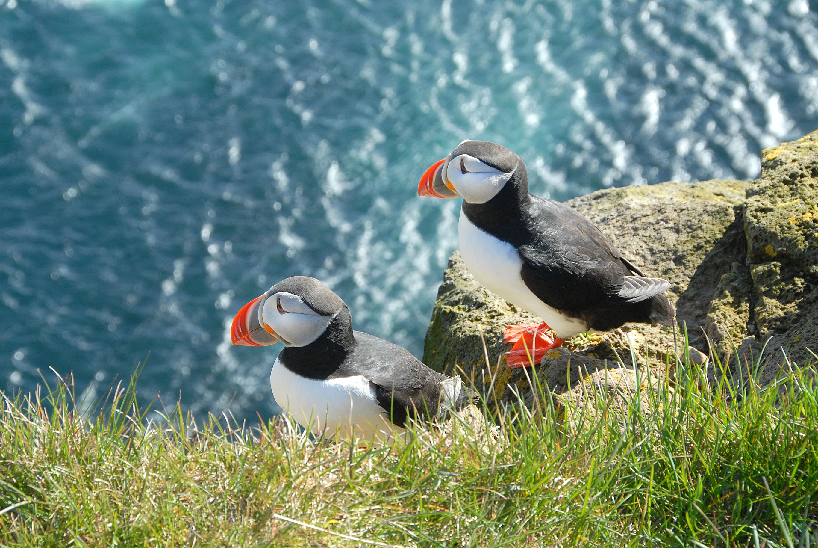 Hoogtepunten IJsland in een week