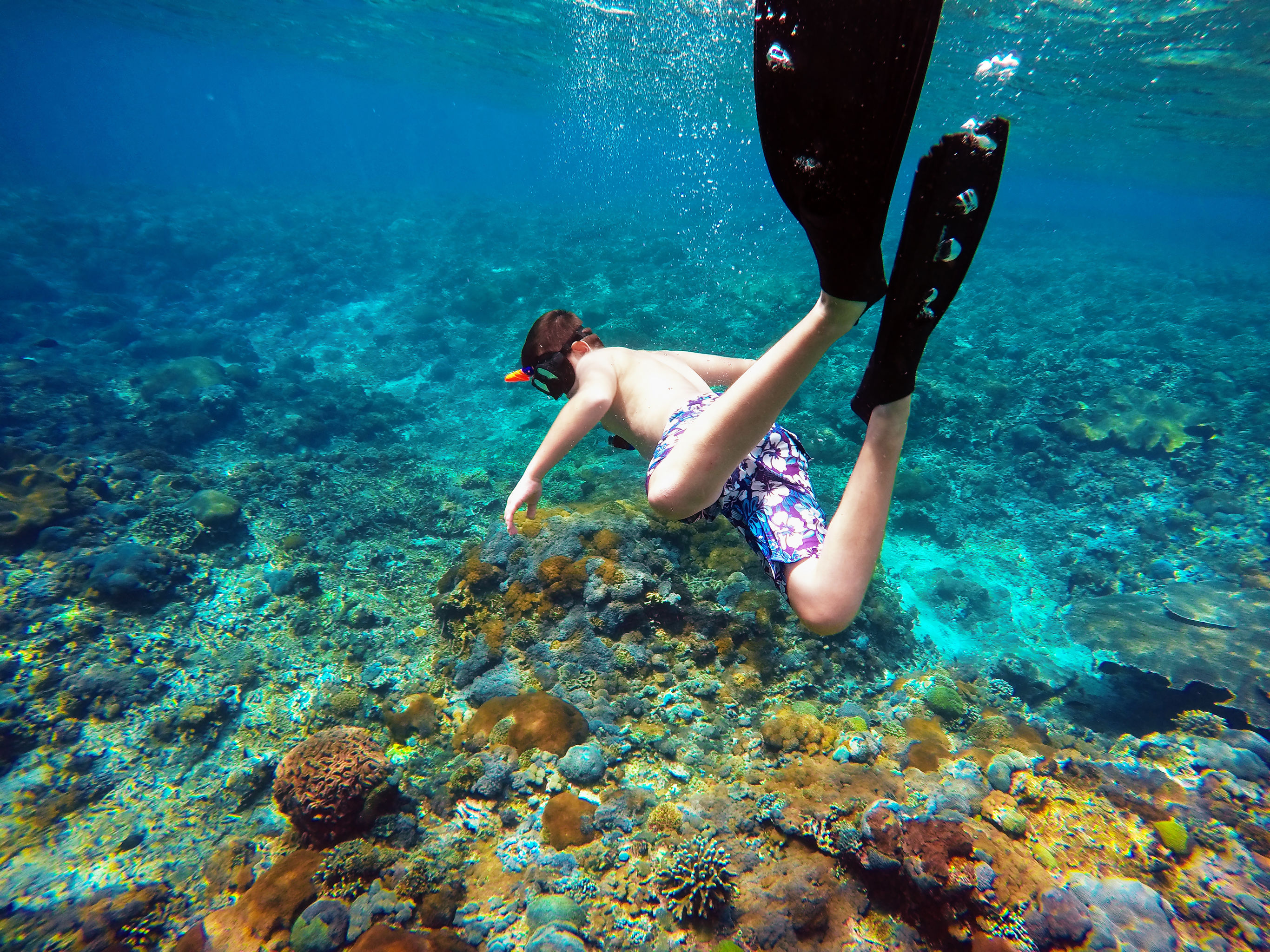 Bali onderwater