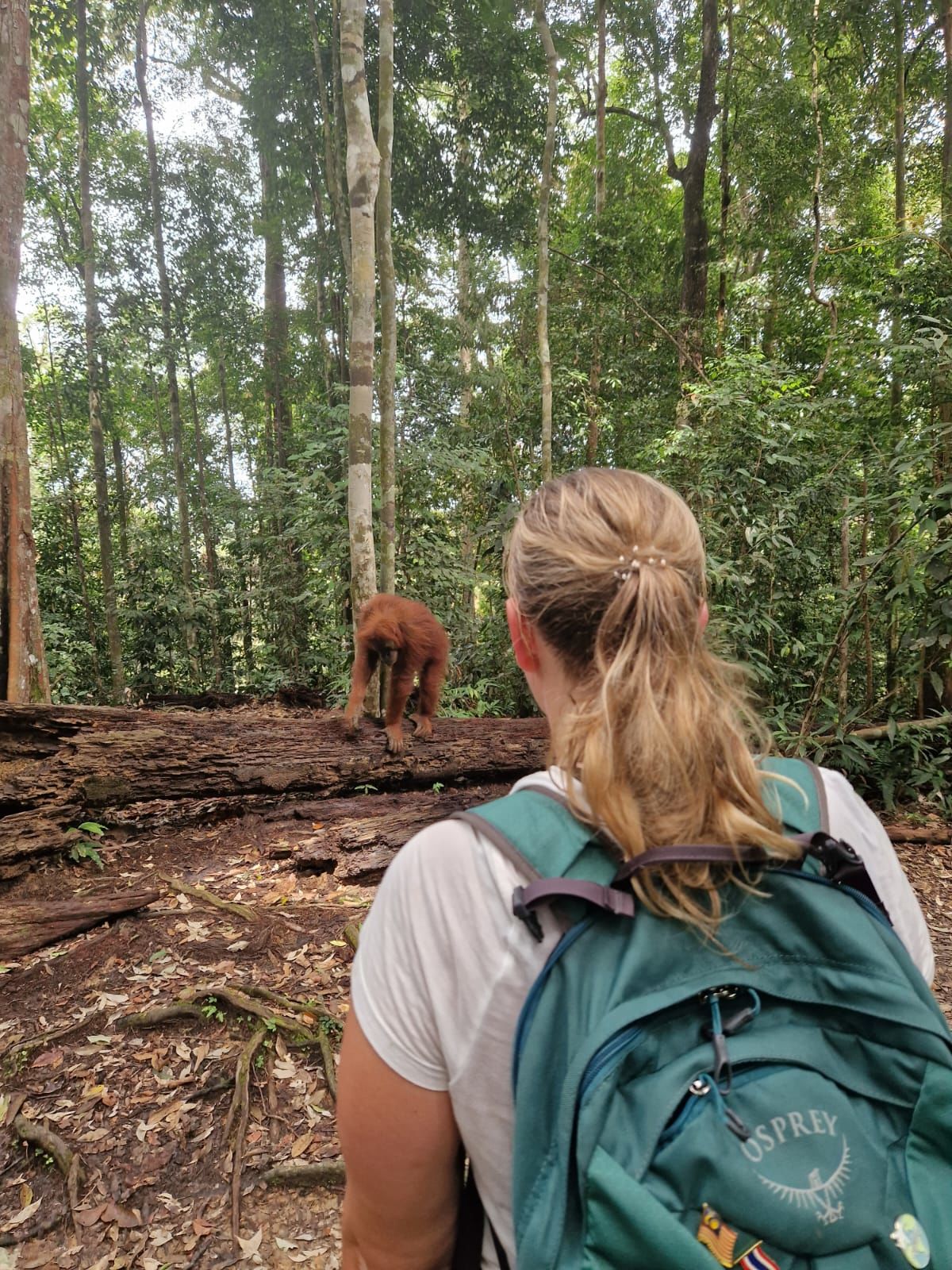 Avontuurlijk en actief Sumatra