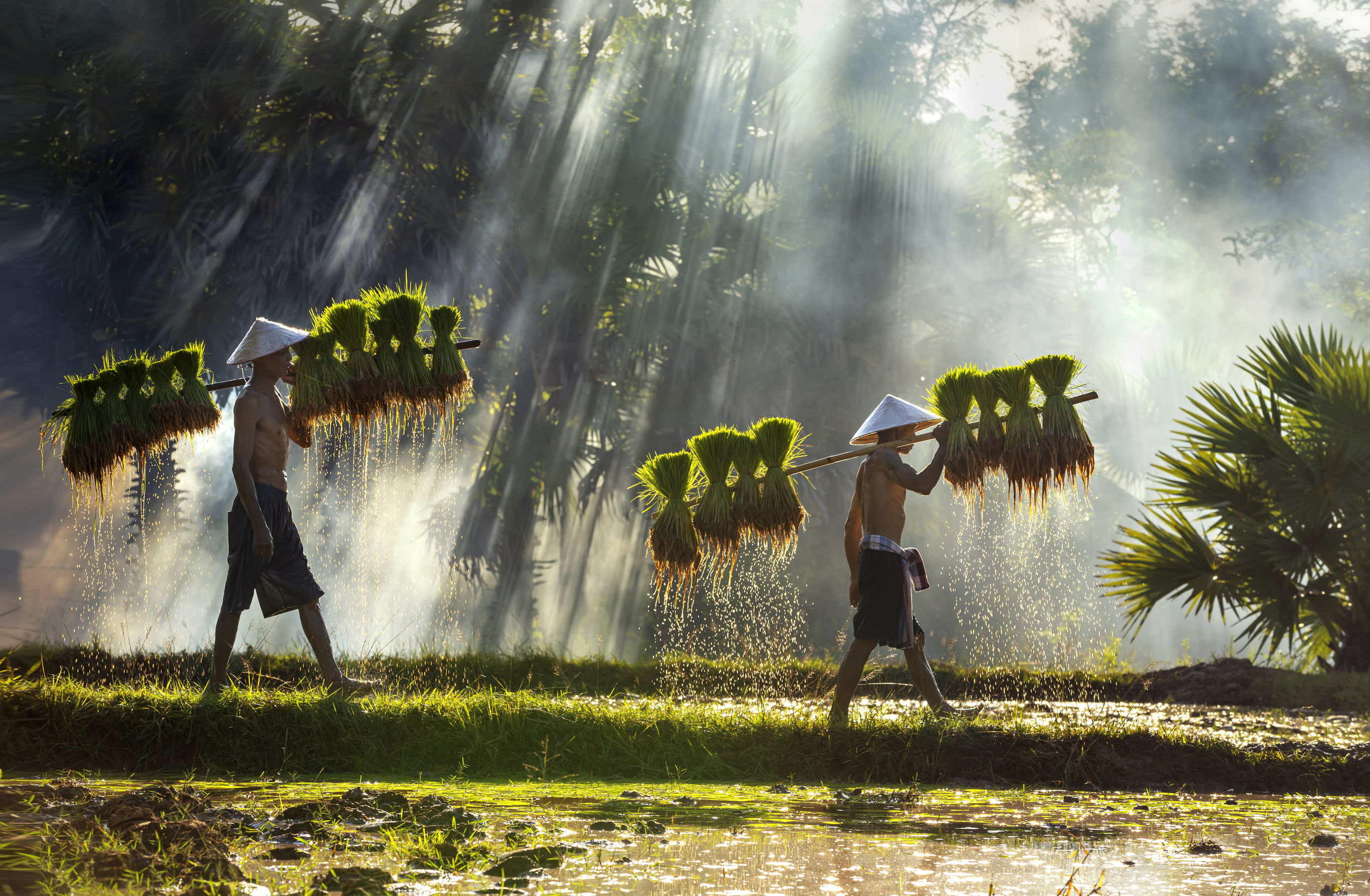 Boeiend Vietnam en Laos