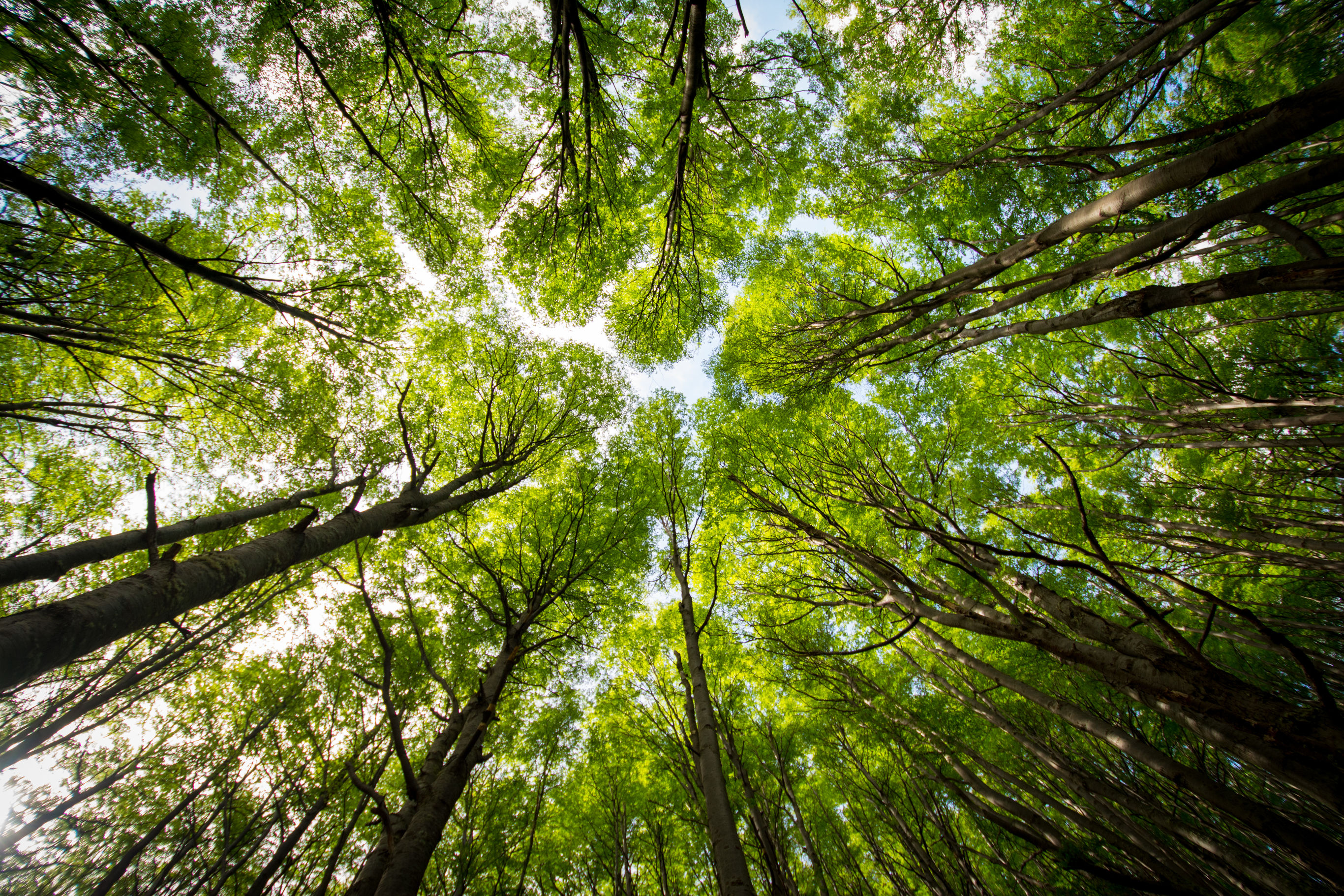 Latijns Amerika Chili Torres del Paine