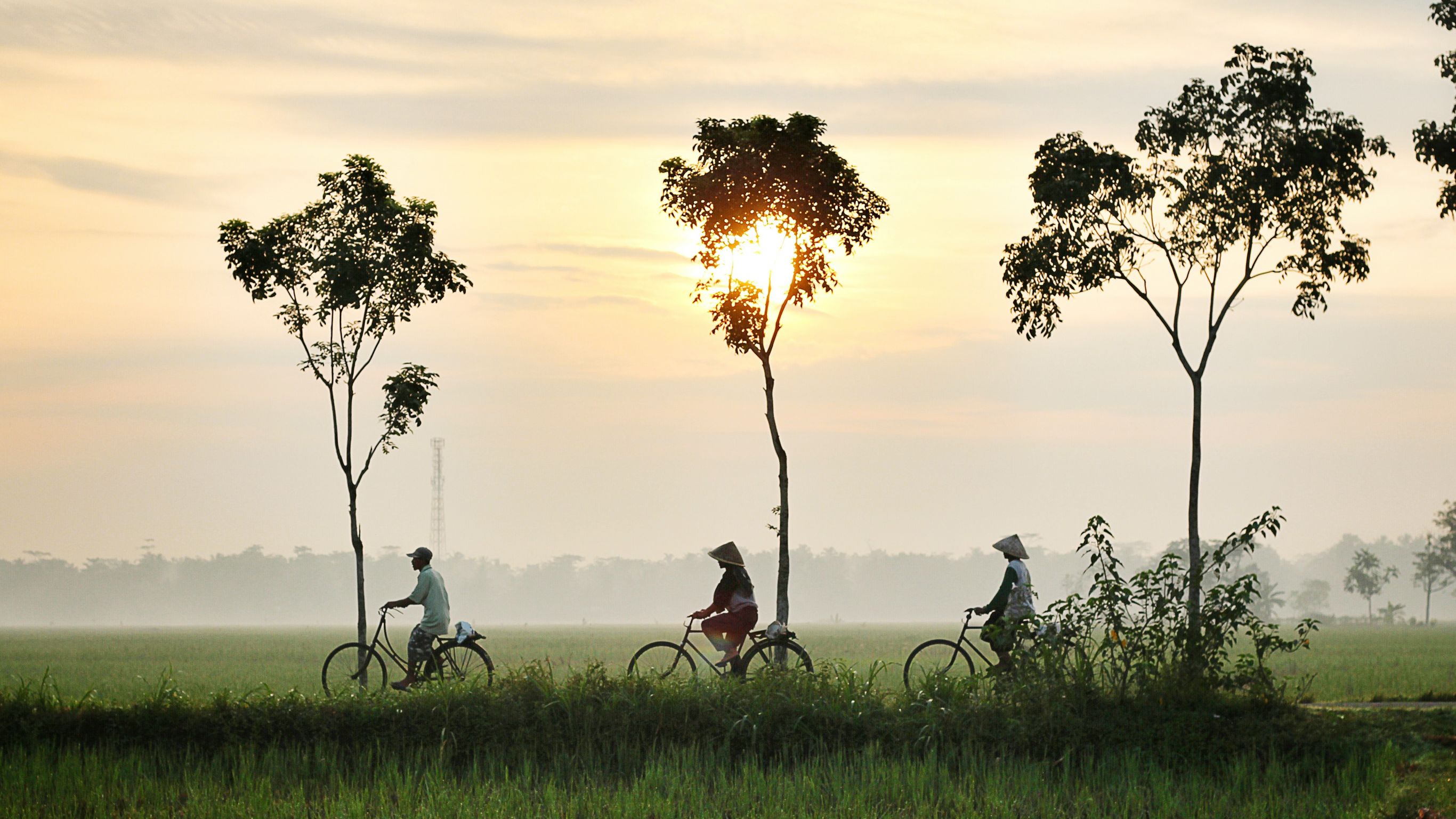 Puur natuur in Vietnam