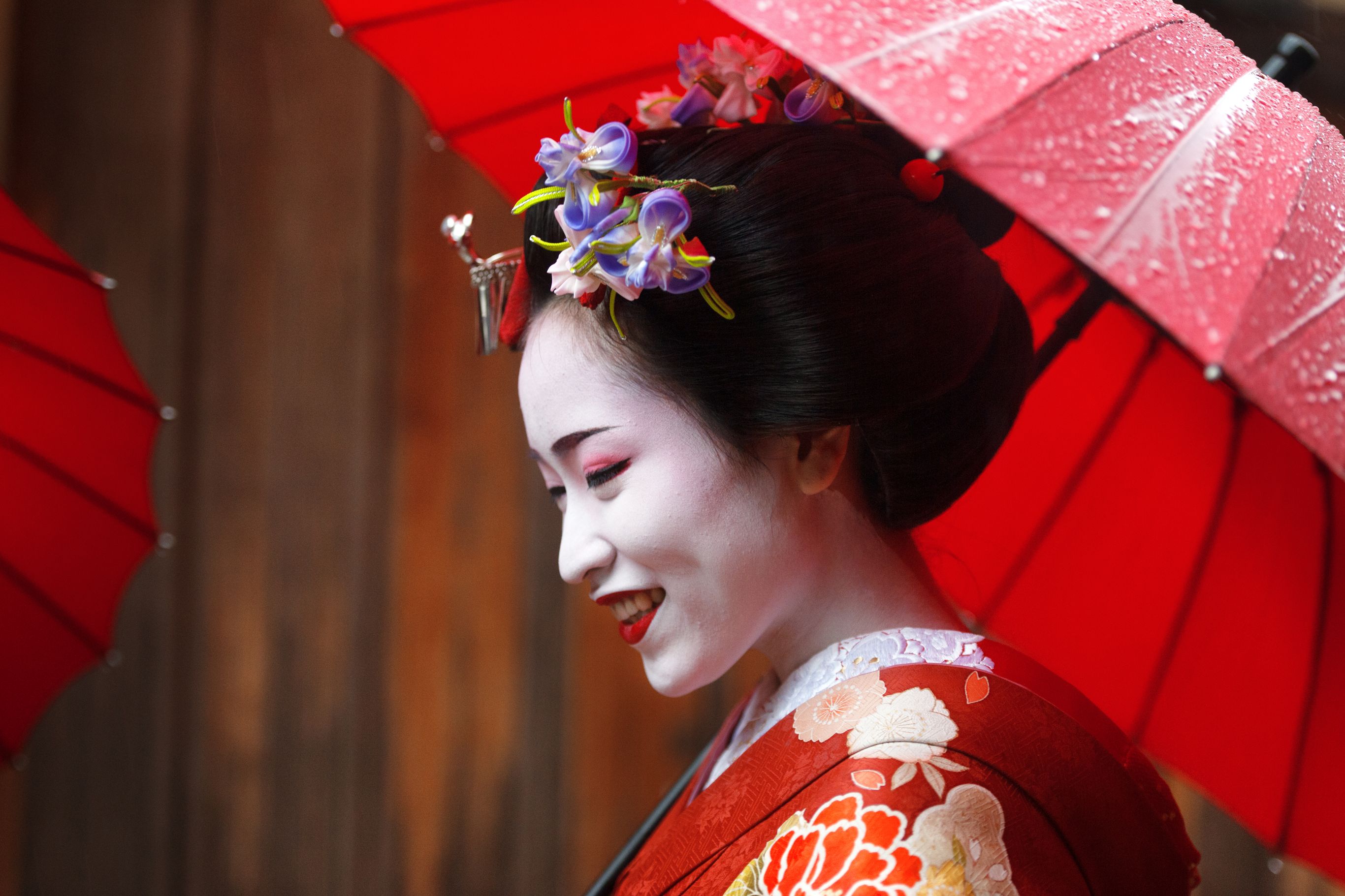 Wellness Reis Japan