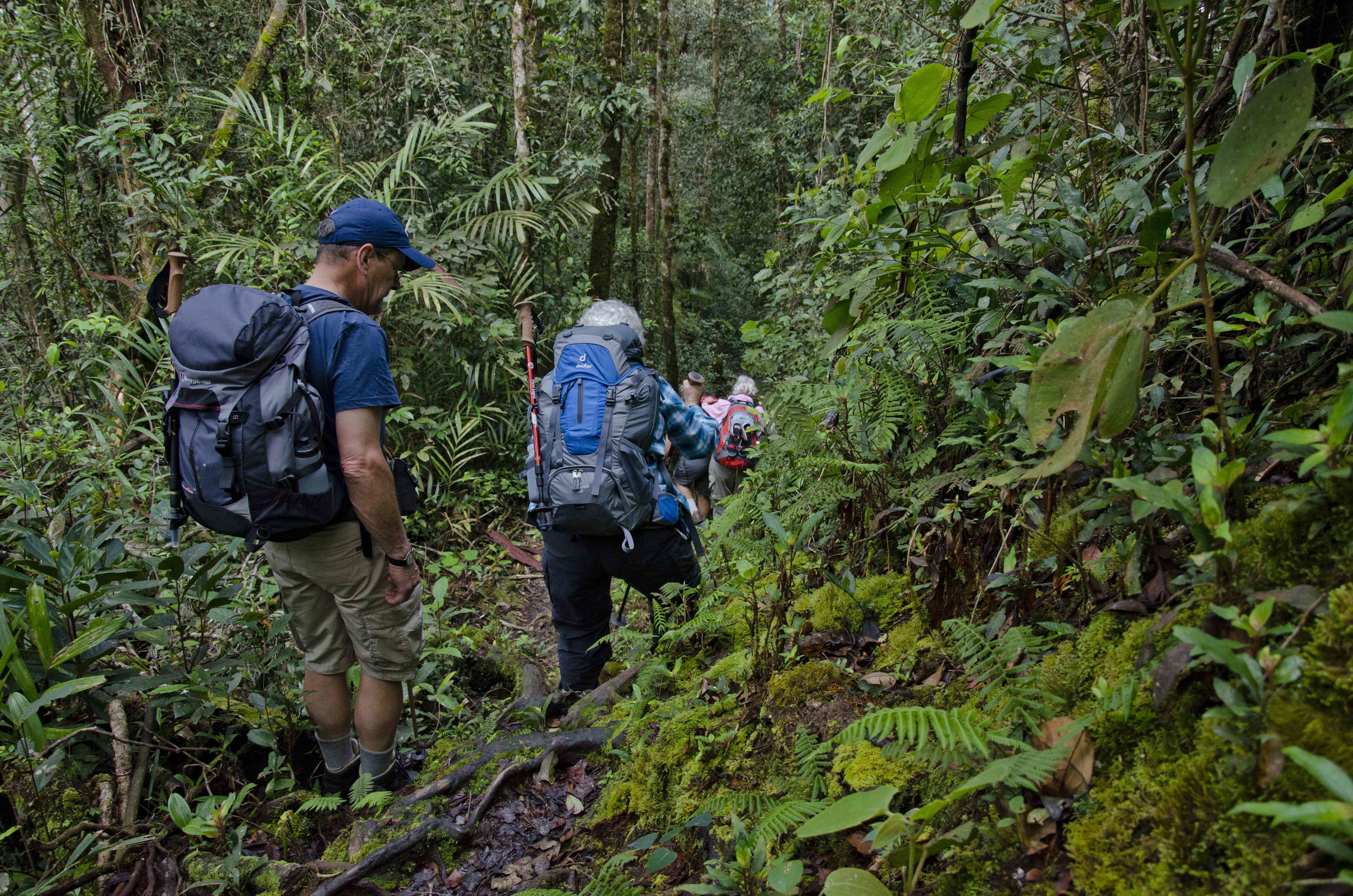 Zware trekking door de Crocker Range