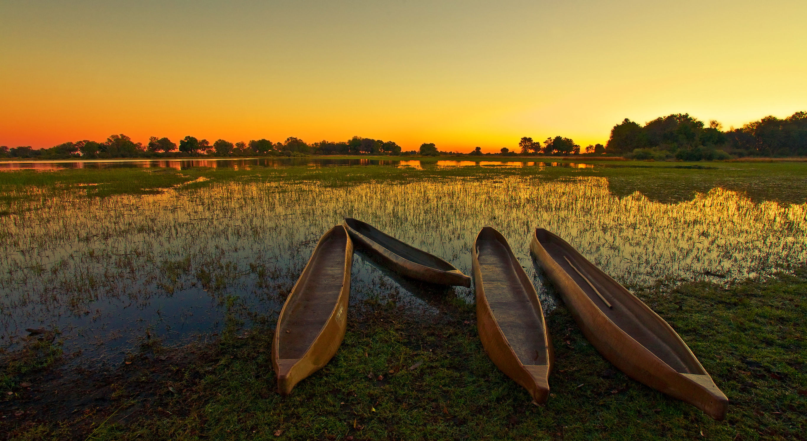 Kalahari en Okavango safari