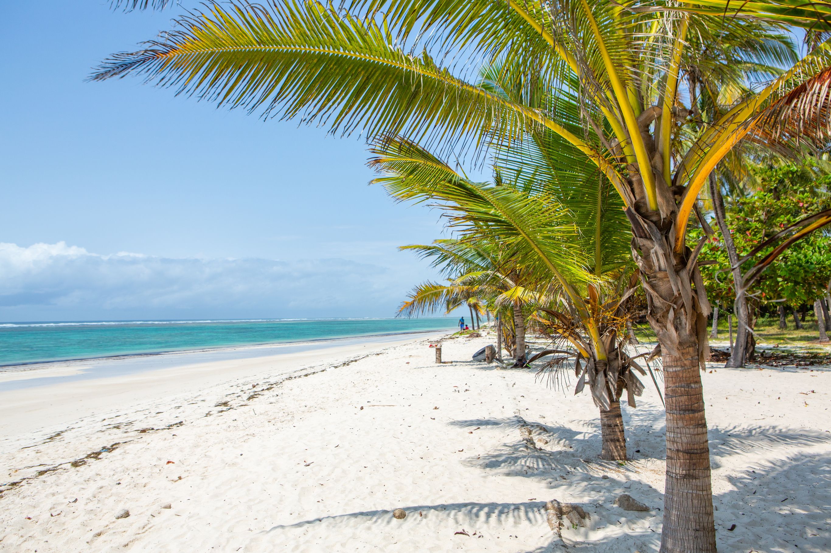 Witte stranden en snorkelen in Mombasa