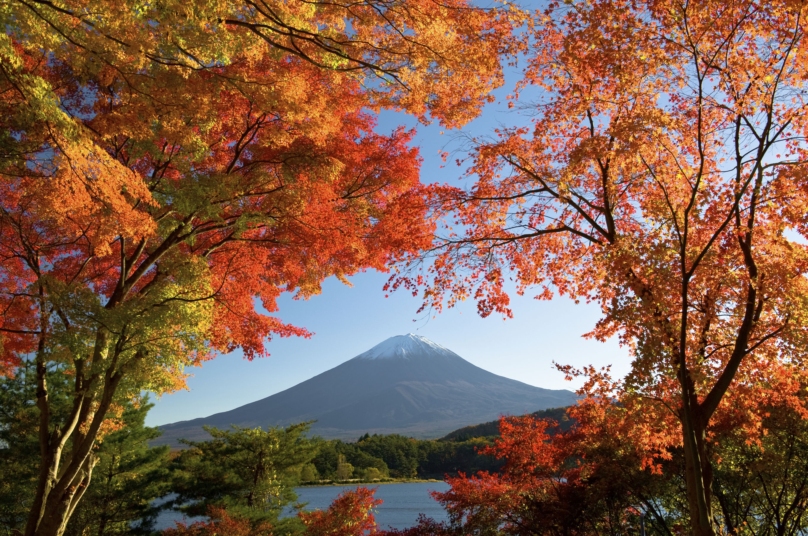 Mount Fuji