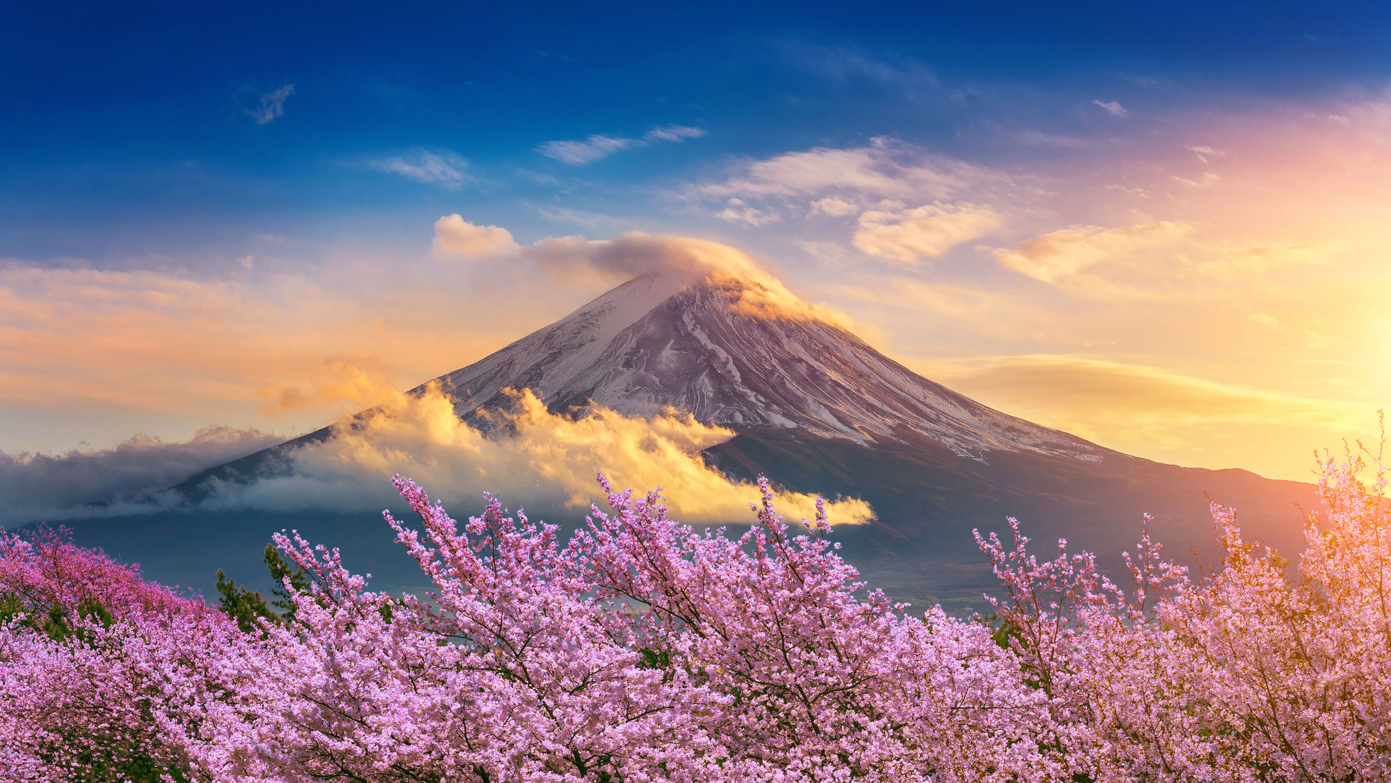Glamping en fietsen bij Mount Fuji