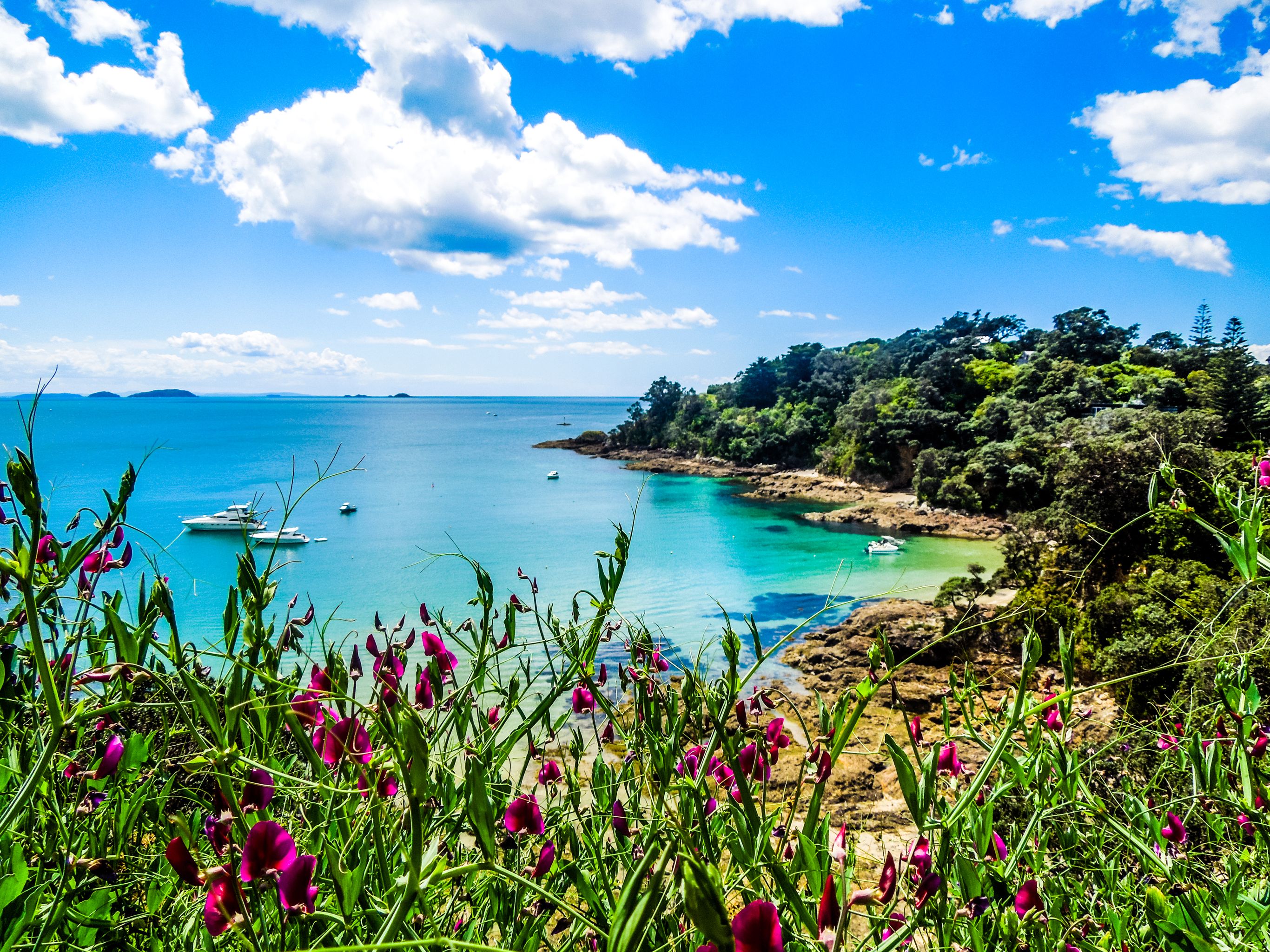 Relaxen op Waiheke Island