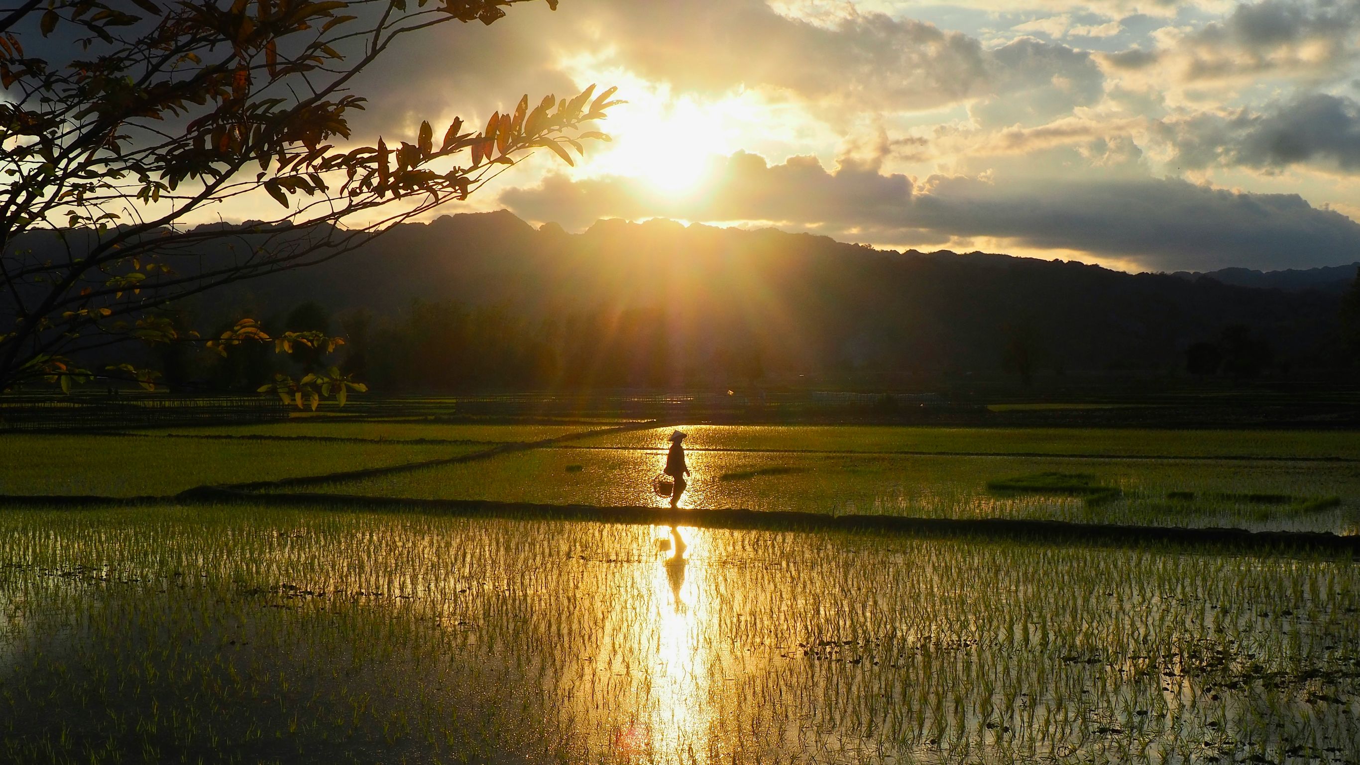 Puur Noord Laos