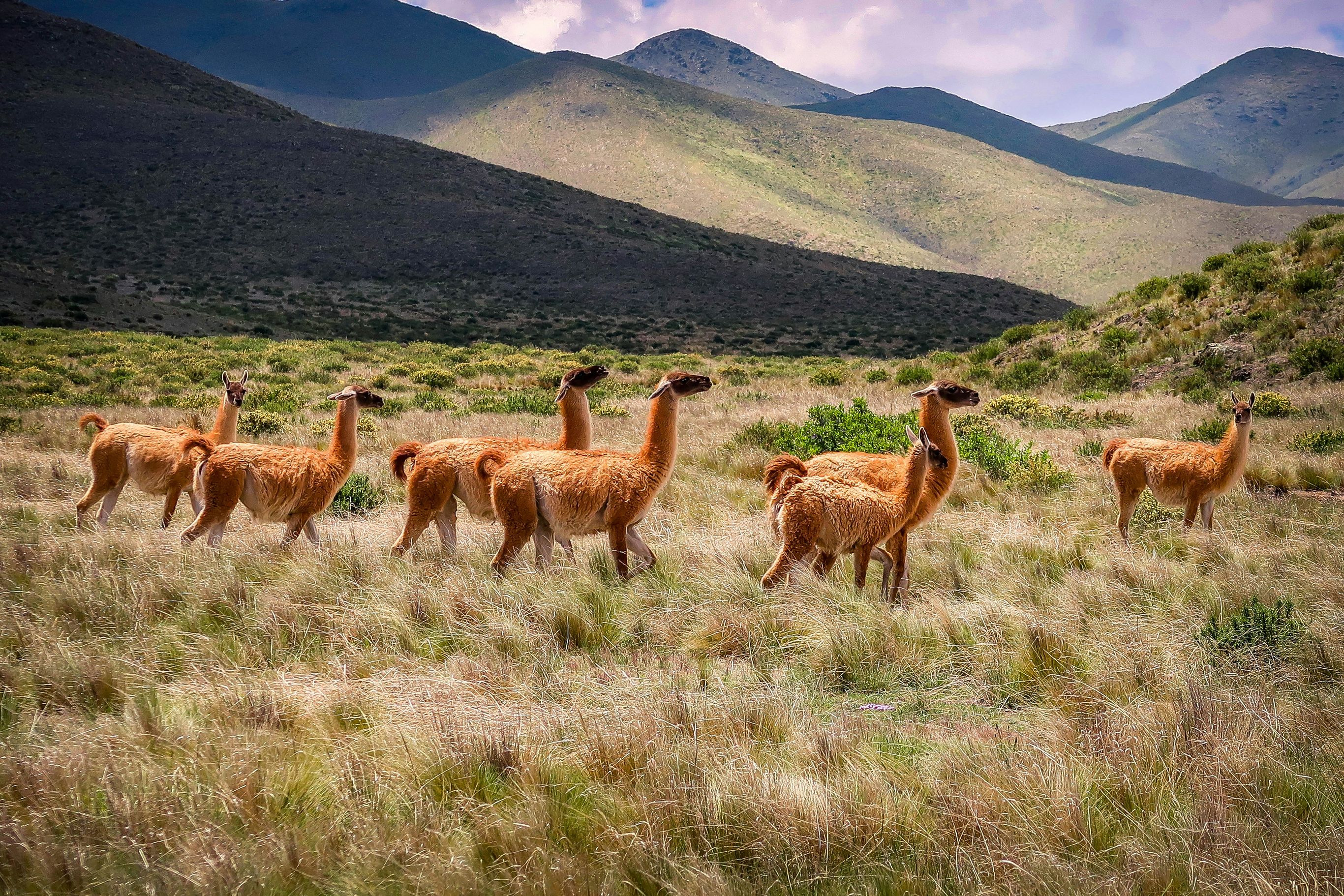 Op avontuur van Mendoza naar Salta