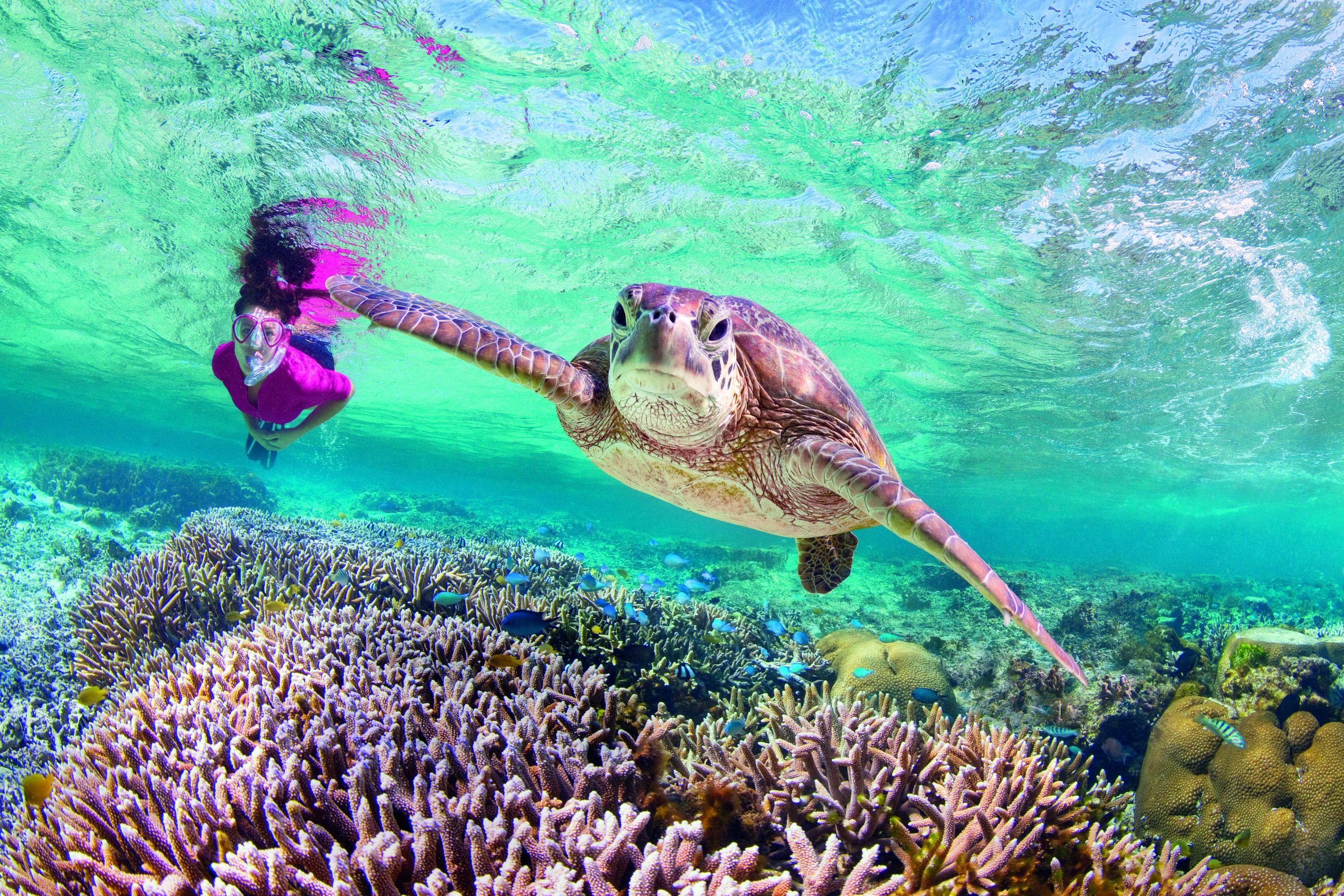 Stranden, regenwoud en aboriginals oostkust Australië