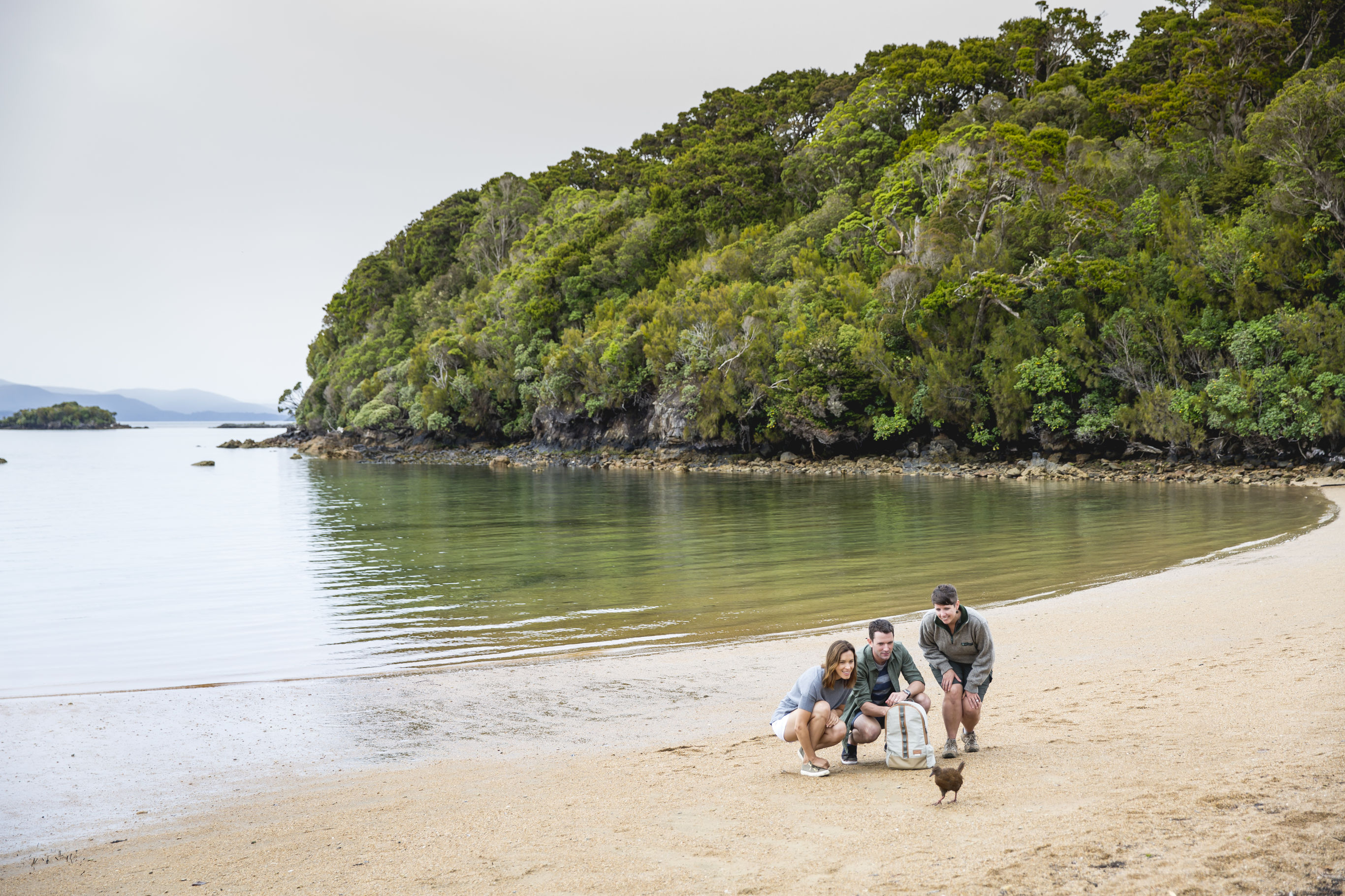 Wildlife op Stewart Island
