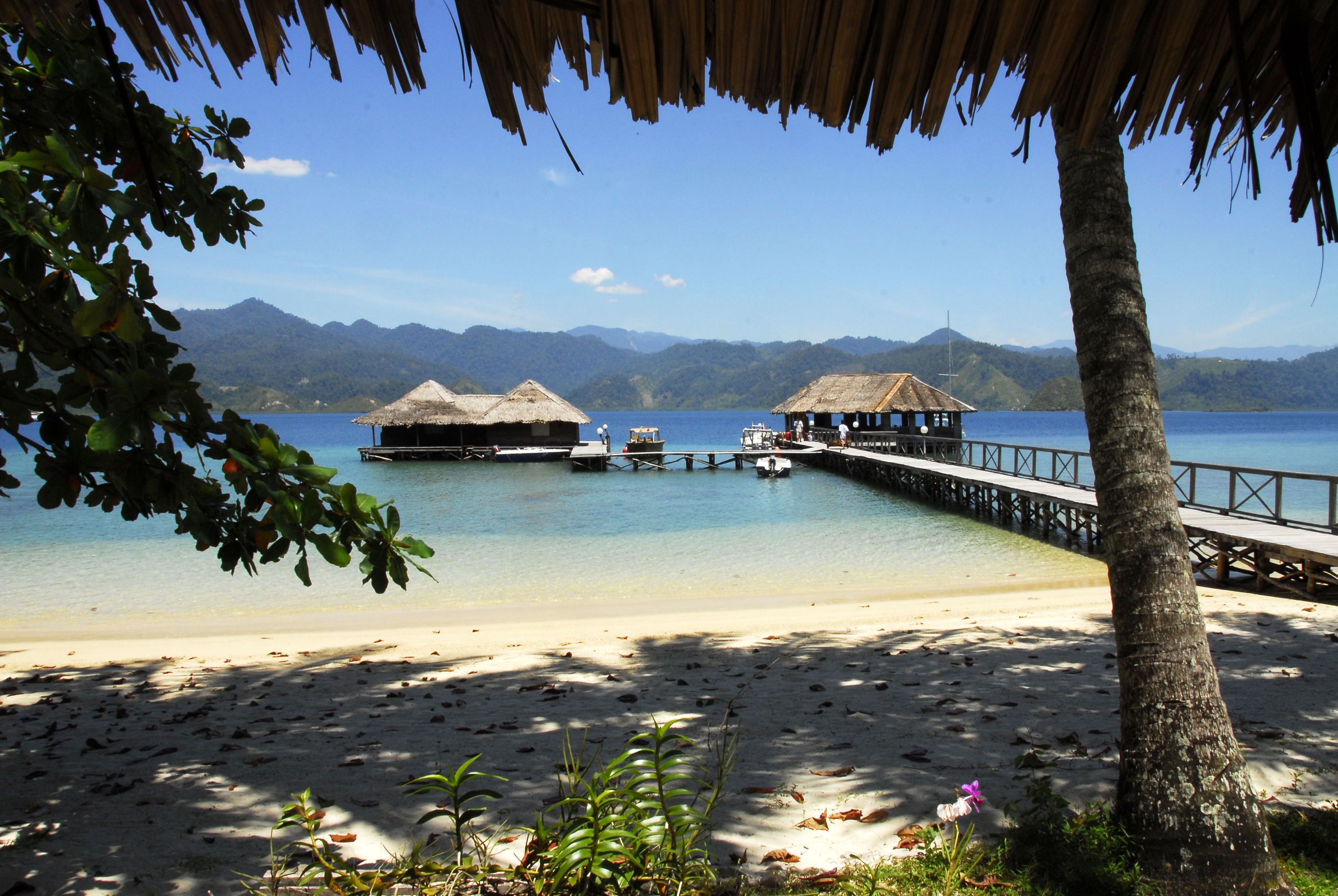 Sumatra met cultuur, jungle en strand