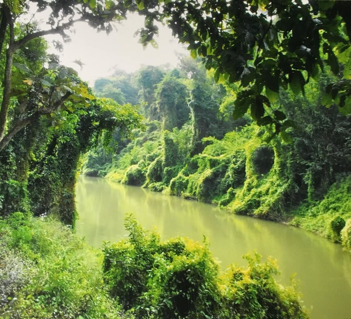Rivier met een groene oever in Thailand Rivier met een groene oever in Thailand