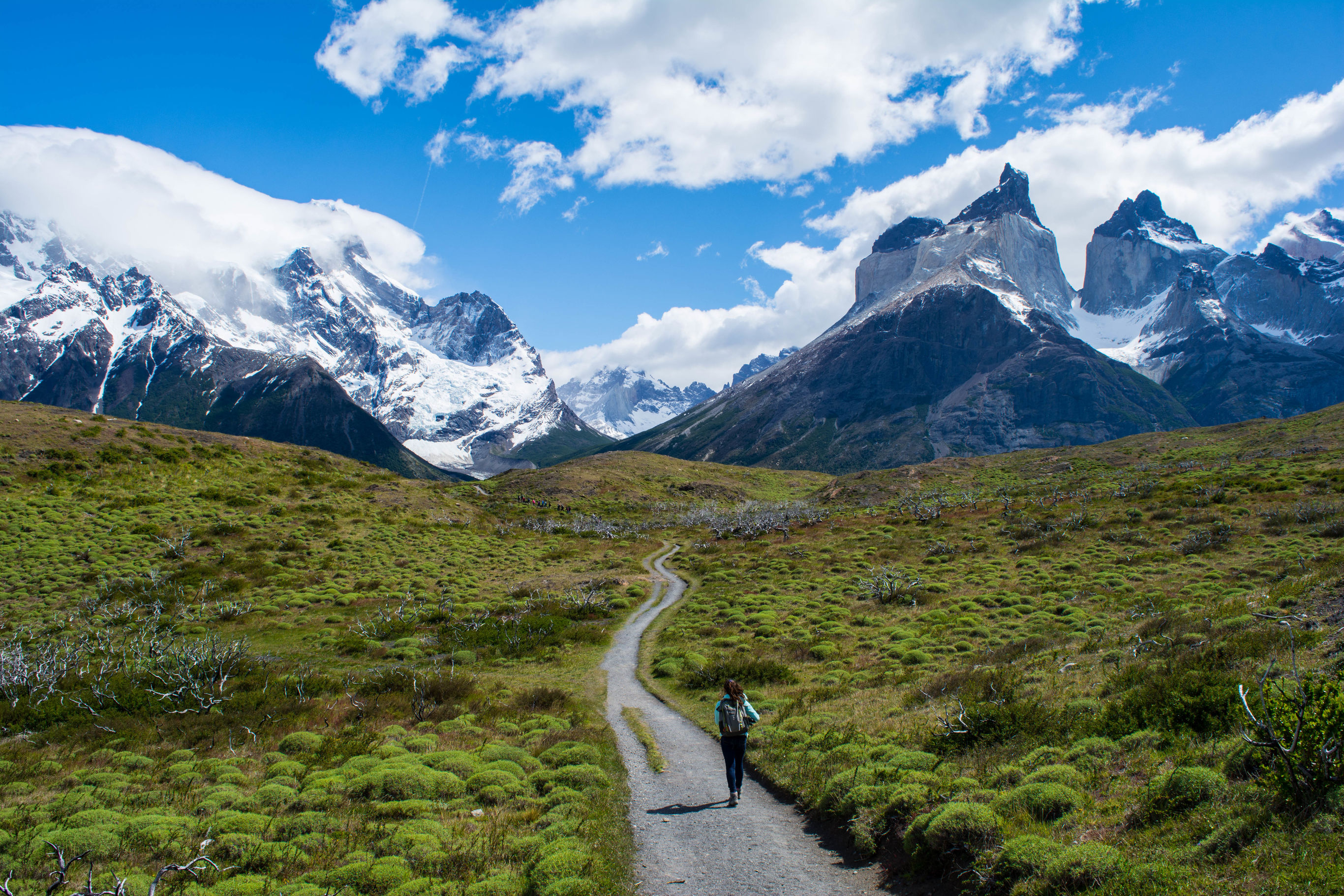 Selfdrive Torres del Paine