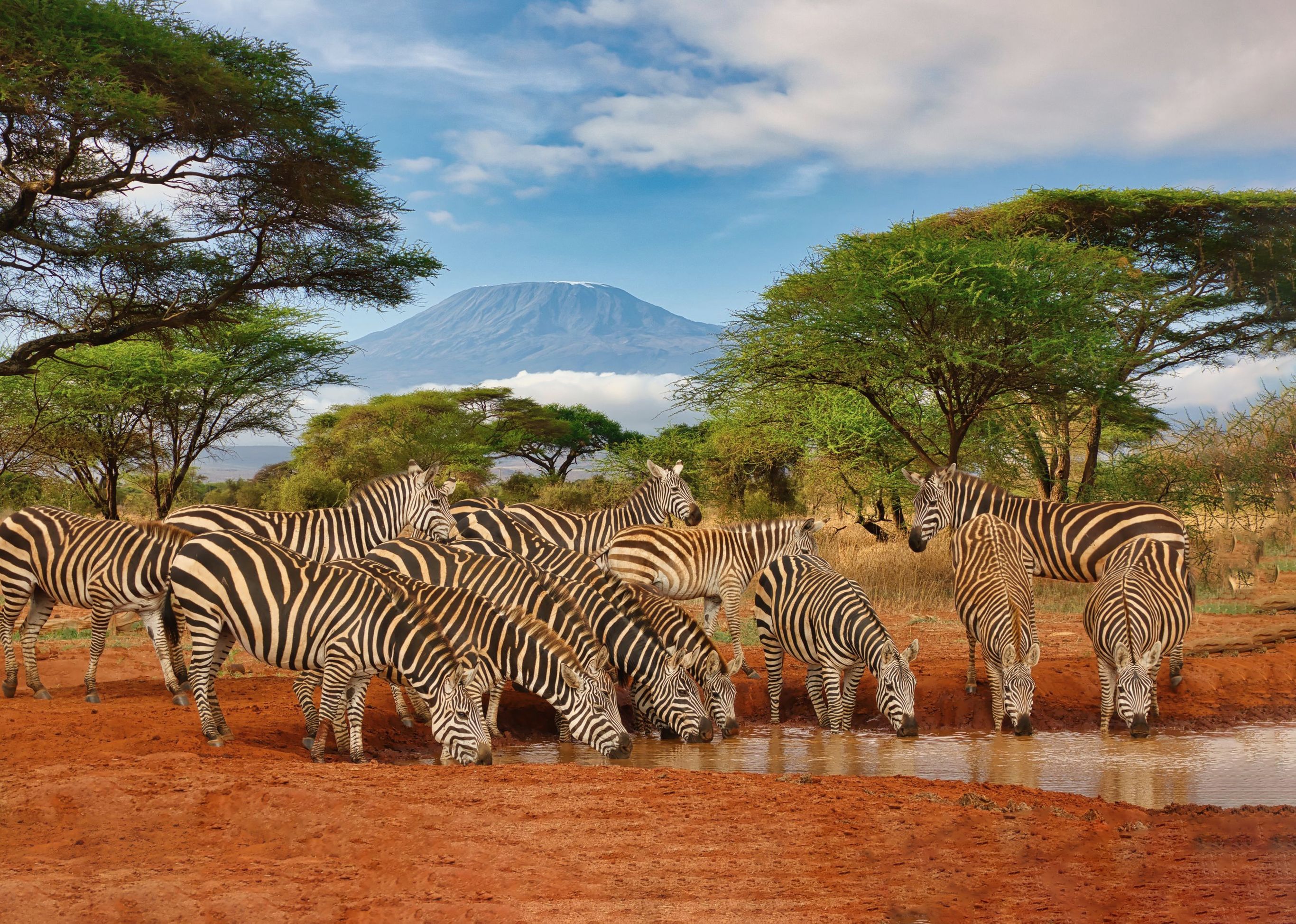 Op safari vanuit Mombasa