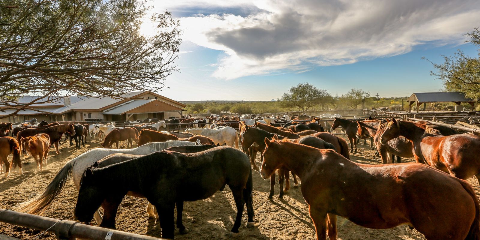 Ranchverblijf in Tucson