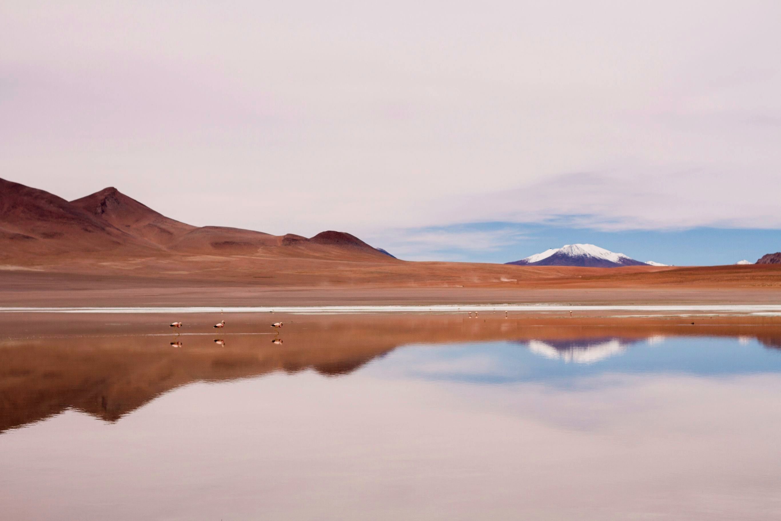 Hoogtepunten van Bolivia