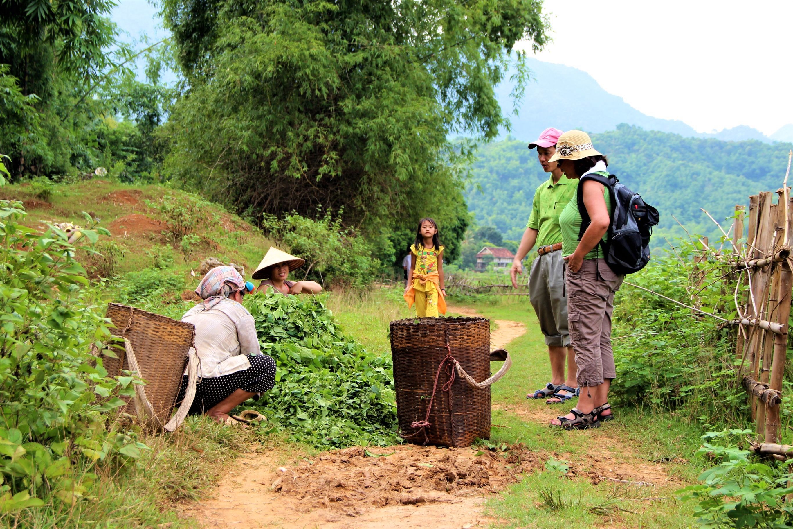 De vallei van Mai Chau