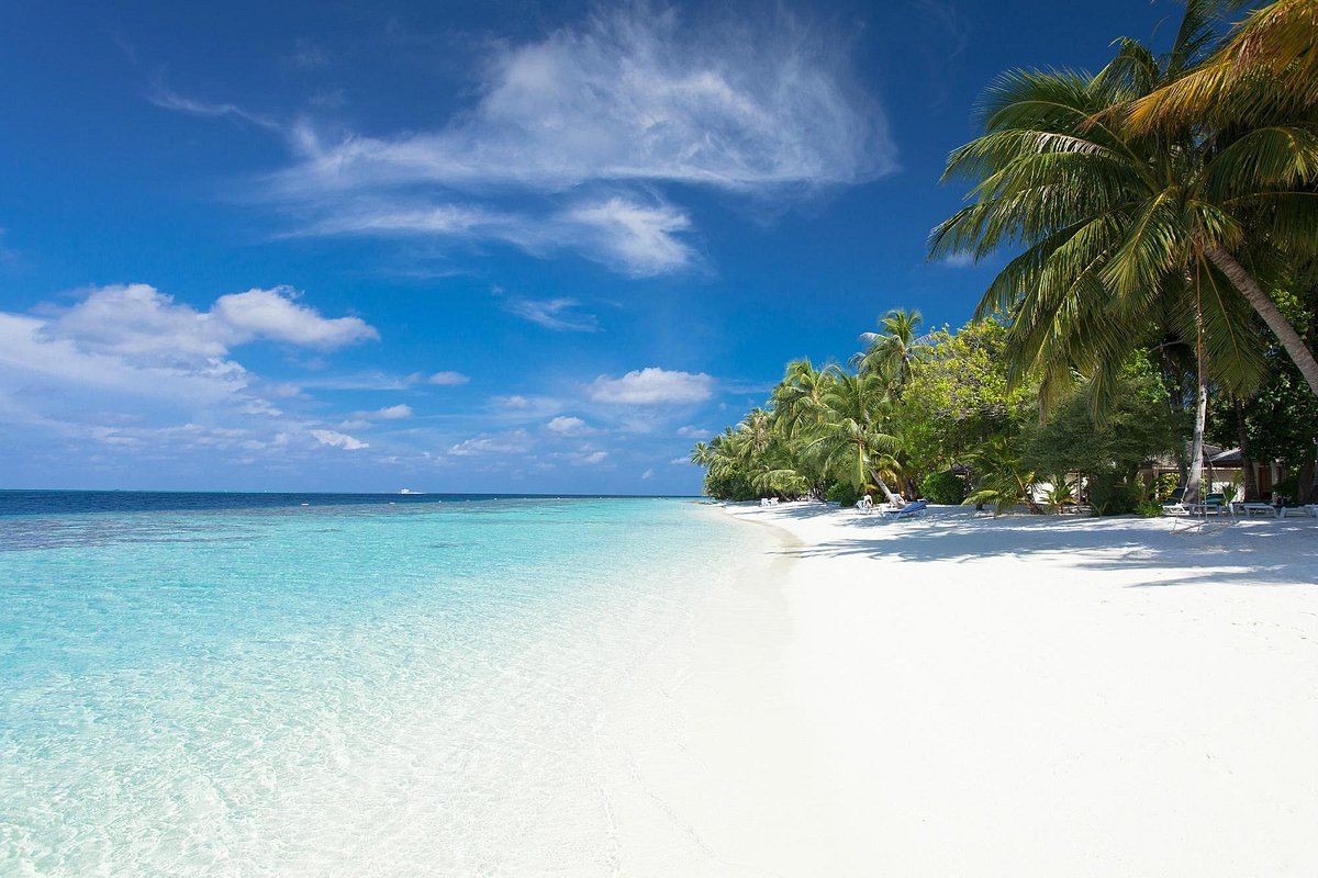 Tropische stranden op de Malediven