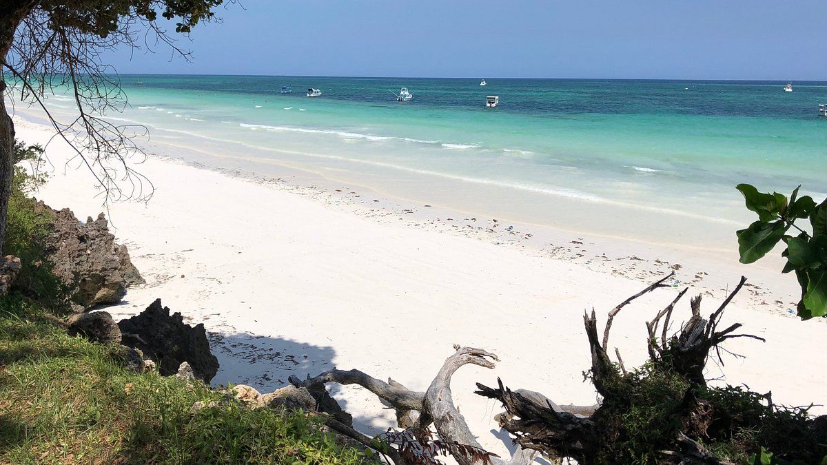 Safari en strand met het gezin