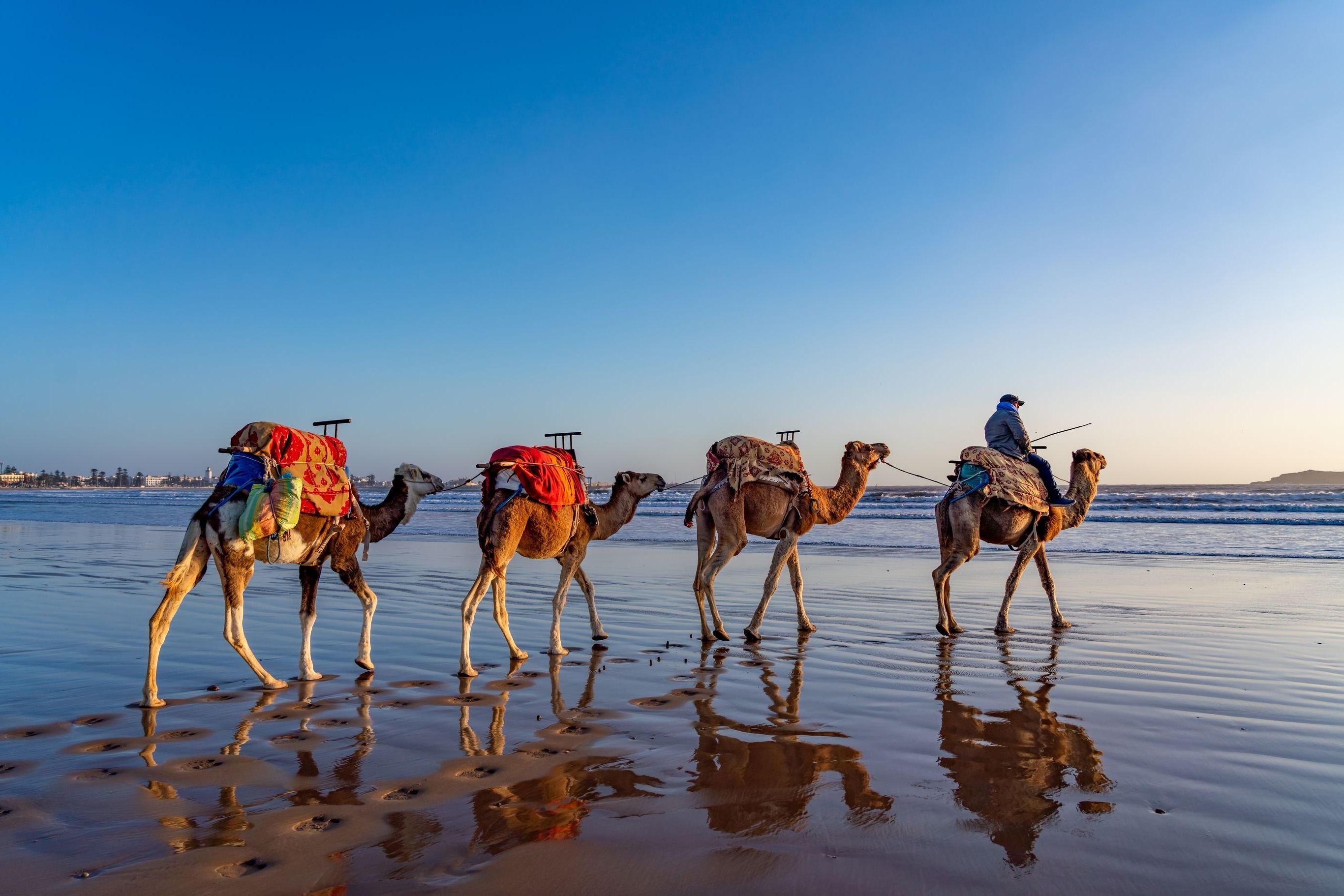 Koningssteden en de Atlantische kust
