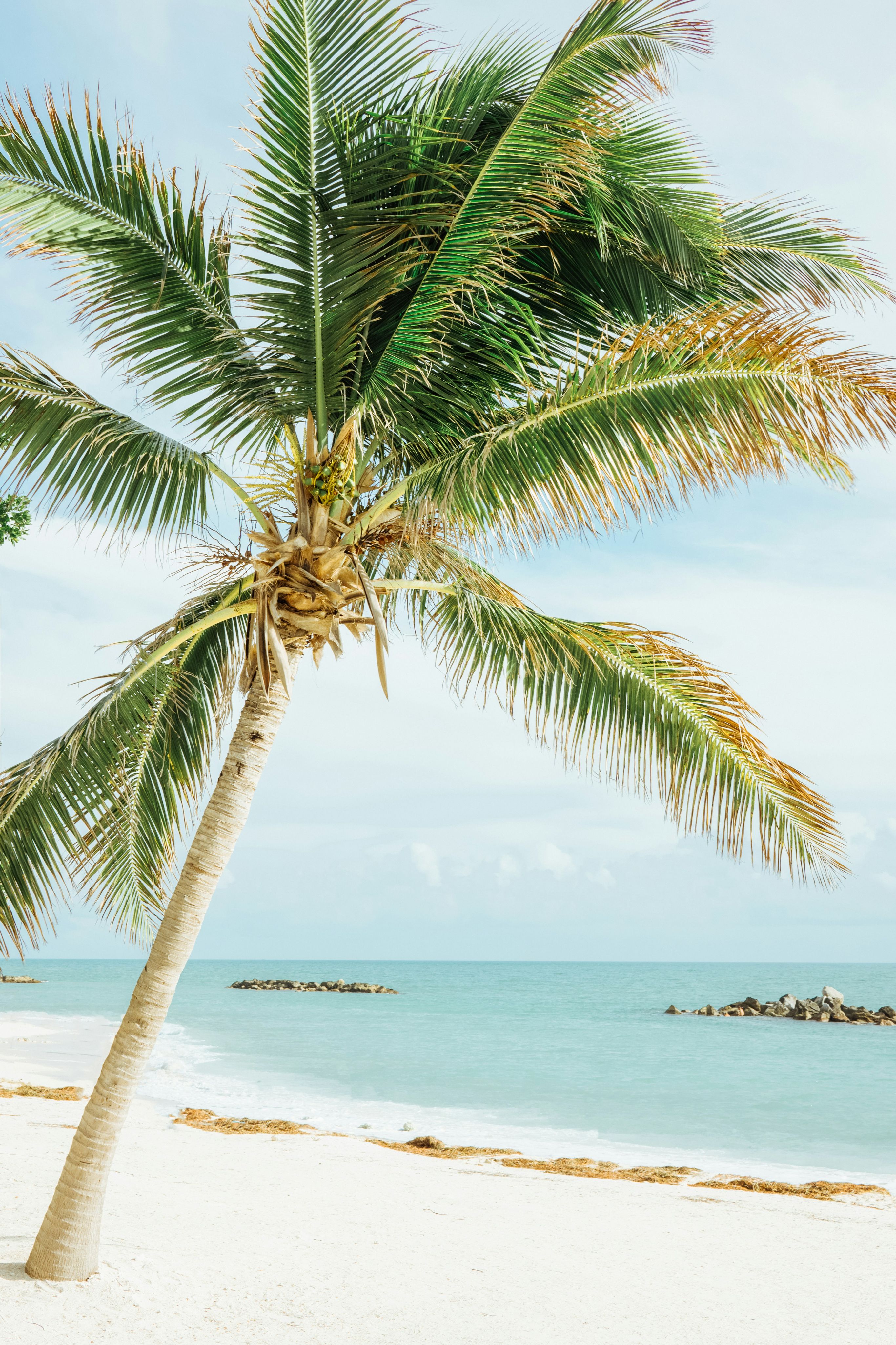 Cruise naar de Bahama's