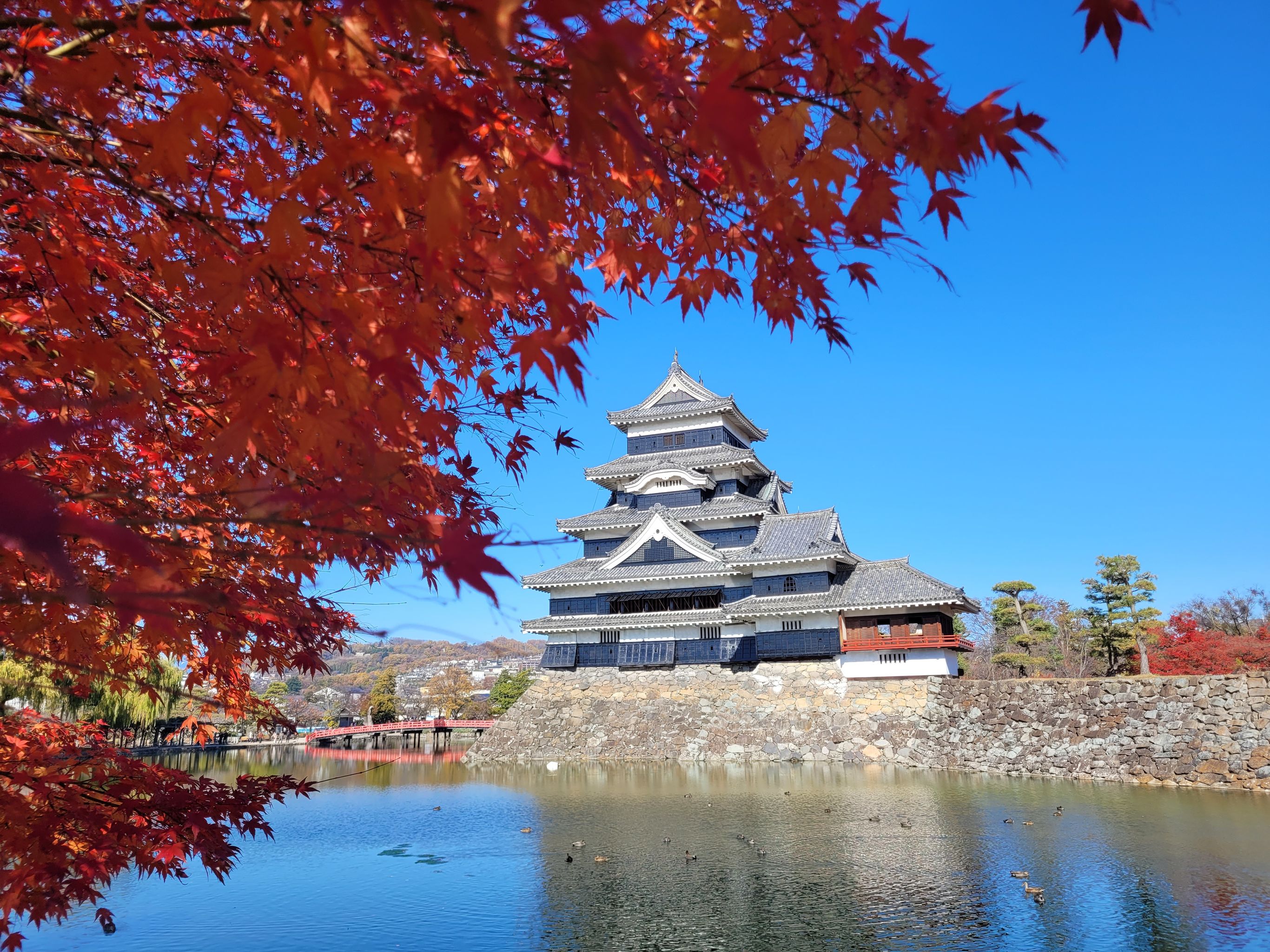 Japanse Alpen