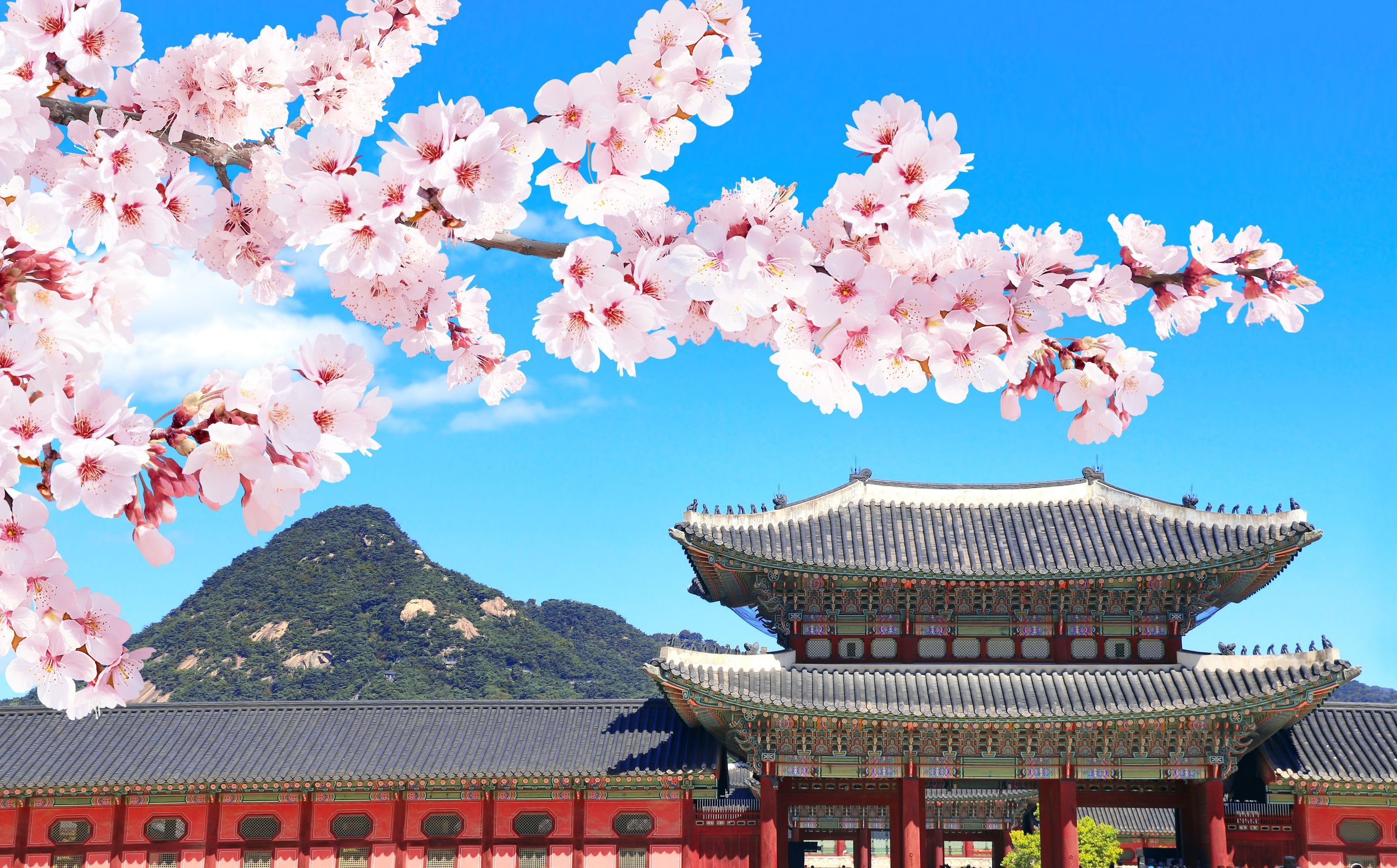 Highlights Zuid-Korea en Japan — 1