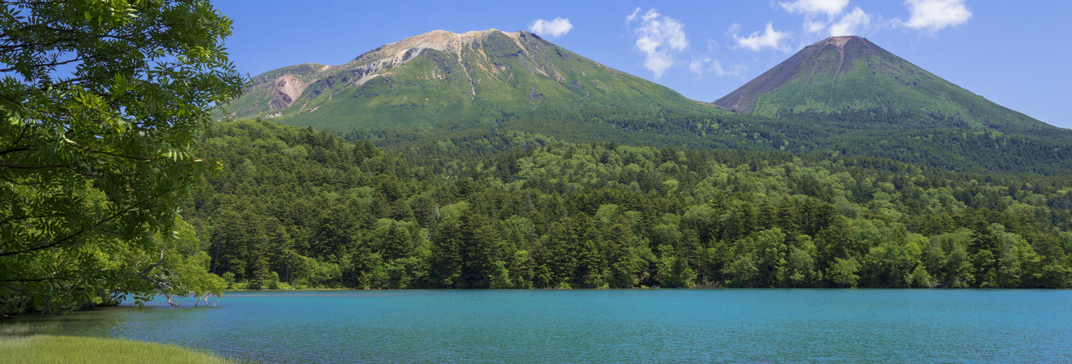 d1f1abd4-e026-4889-82fc-17a111c05e62