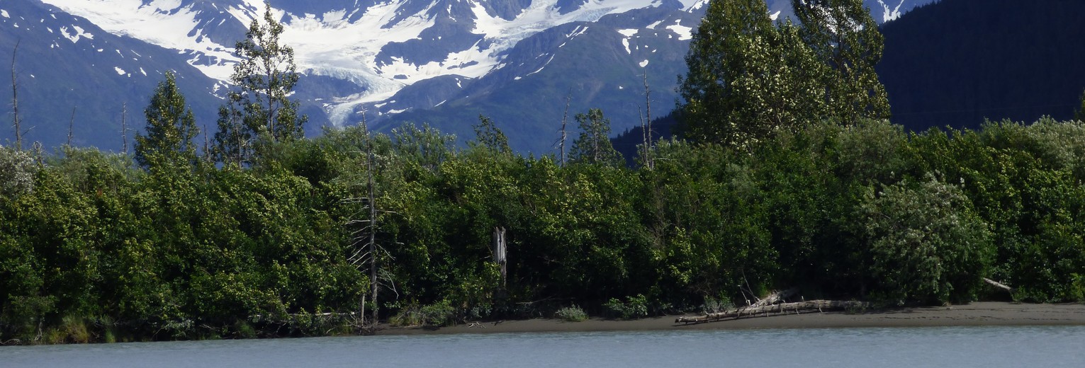 Omgeving Anchorage, net buiten de stad meteen midden in de natuur, Alaska