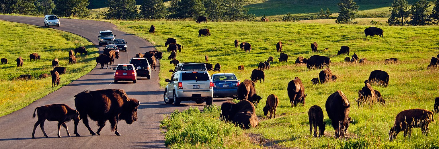 Amerika-Custard-State-Park-Buffalo
